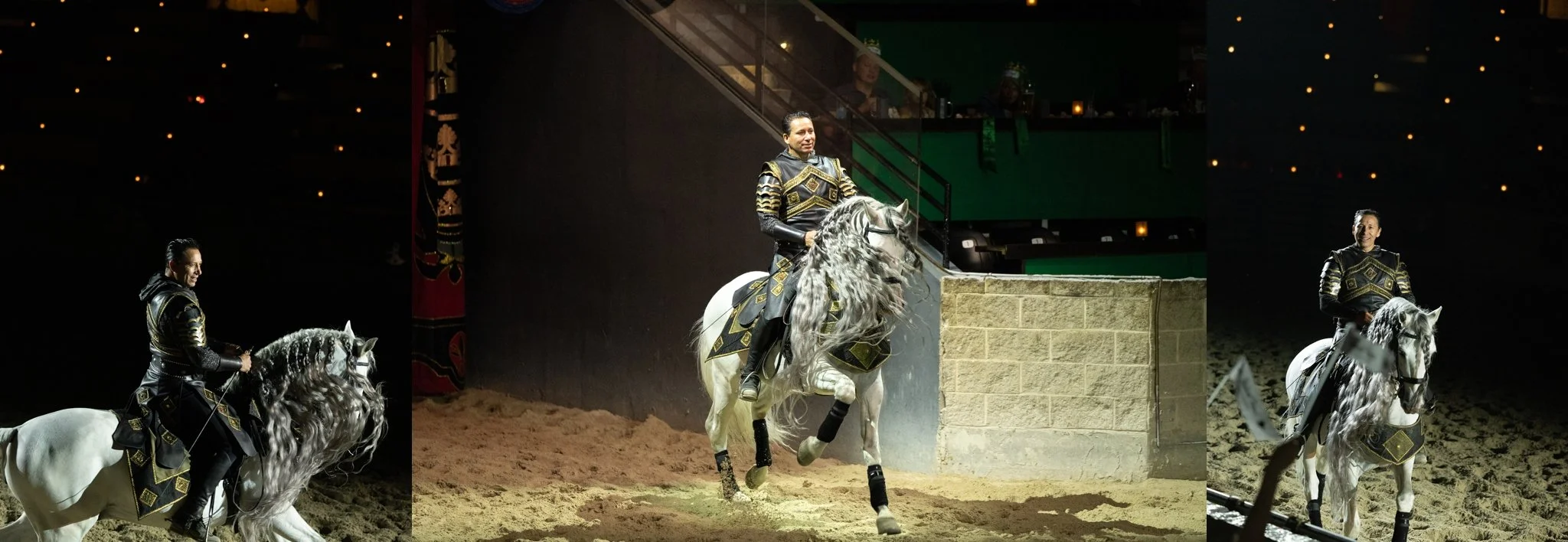 Medieval Times, Medieval Times Chicago, Chicago, Chicago Horse, Midwest Horse Photographer, Dressage Photographer, Wisconsin Horse, Equine Photographer