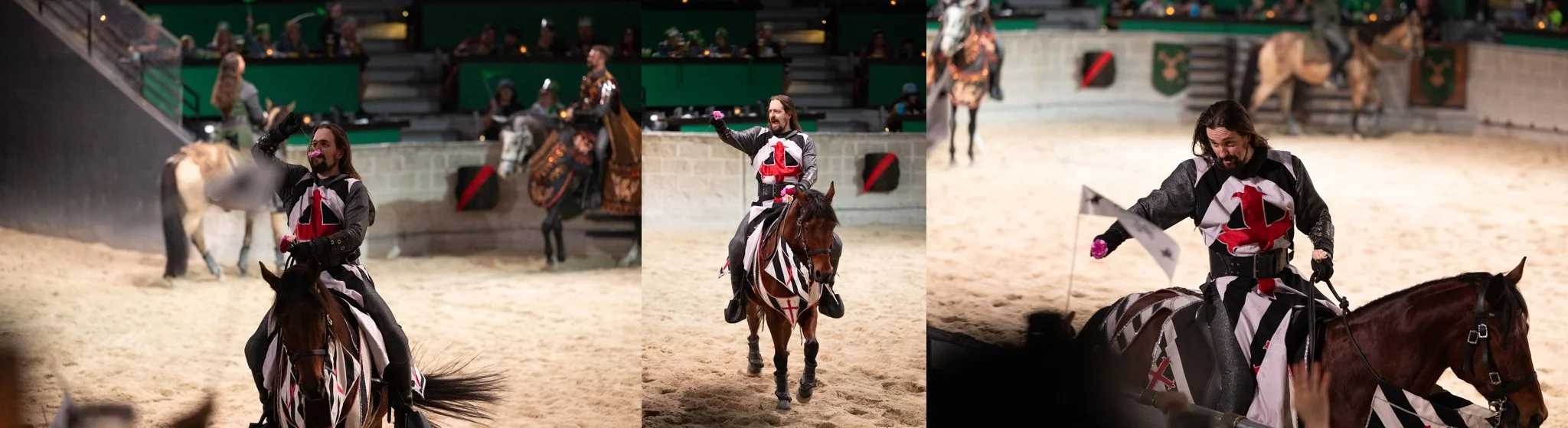 Medieval Times, Medieval Times Chicago, Chicago, Chicago Horse, Midwest Horse Photographer, Dressage Photographer, Wisconsin Horse, Equine Photographer