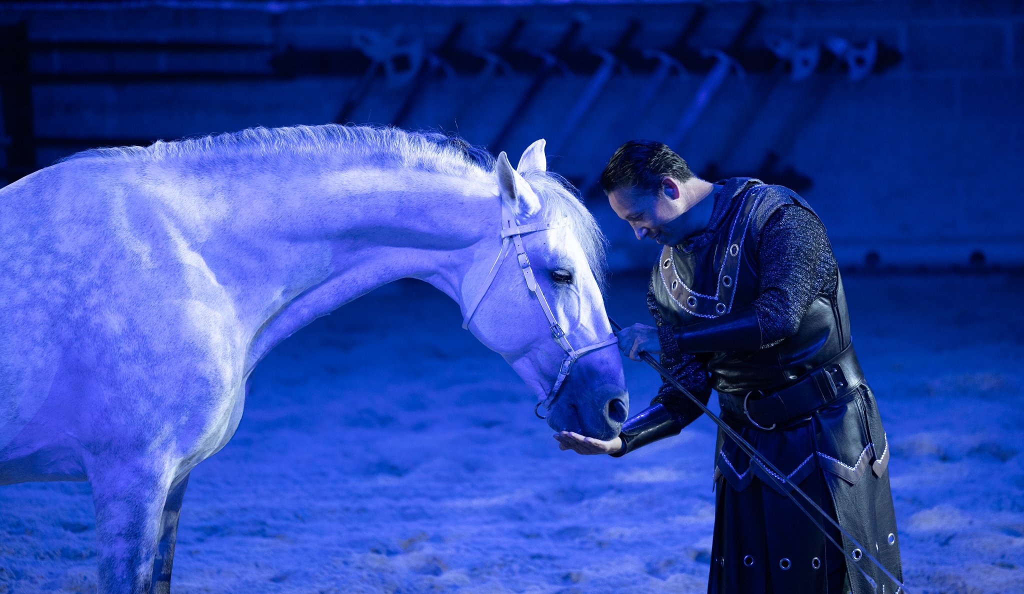 Medieval Times, Medieval Times Chicago, Chicago, Chicago Horse, Midwest Horse Photographer, Dressage Photographer, Wisconsin Horse, Equine Photographer