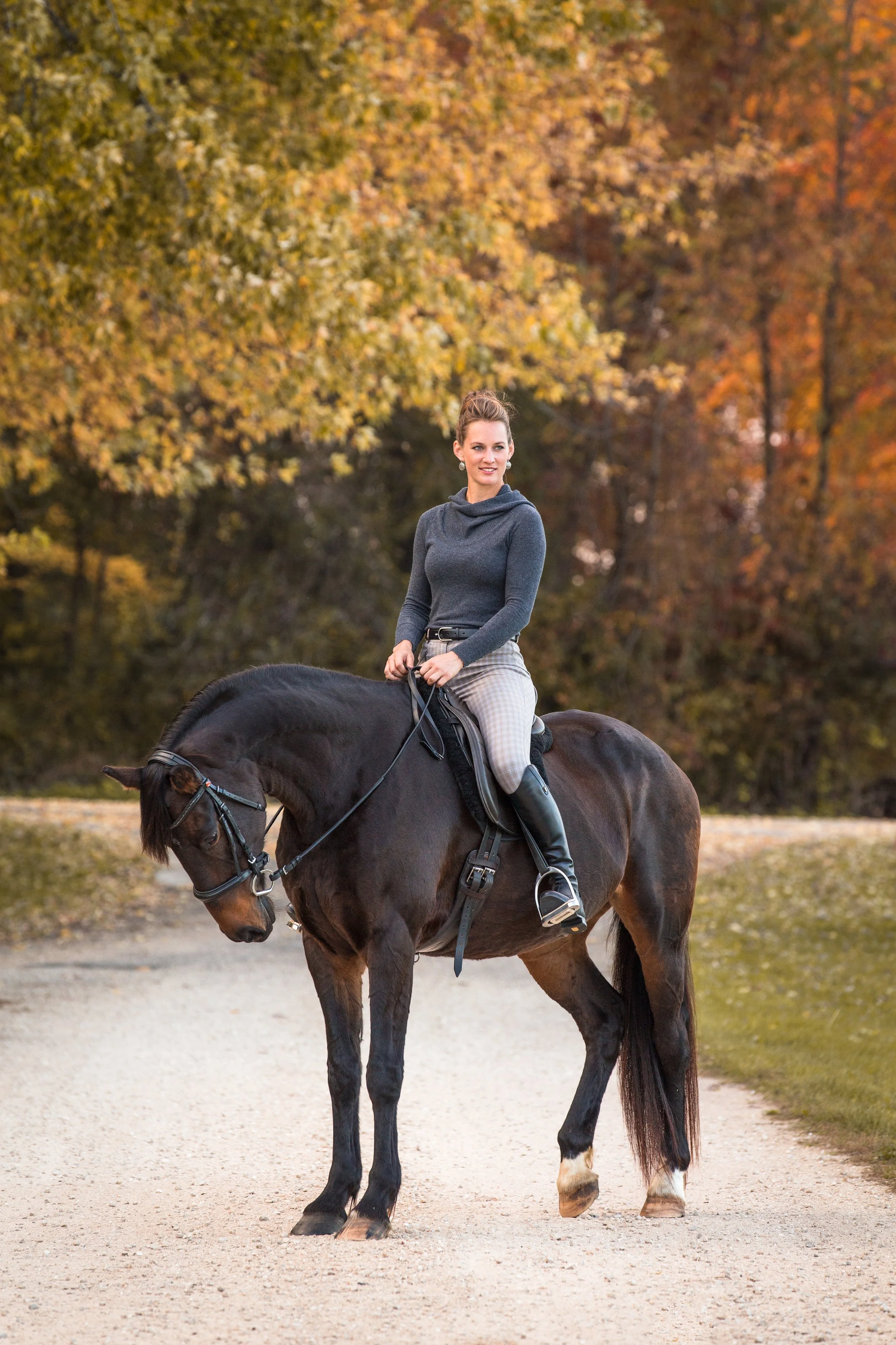 Wisconsin Horse Photographer