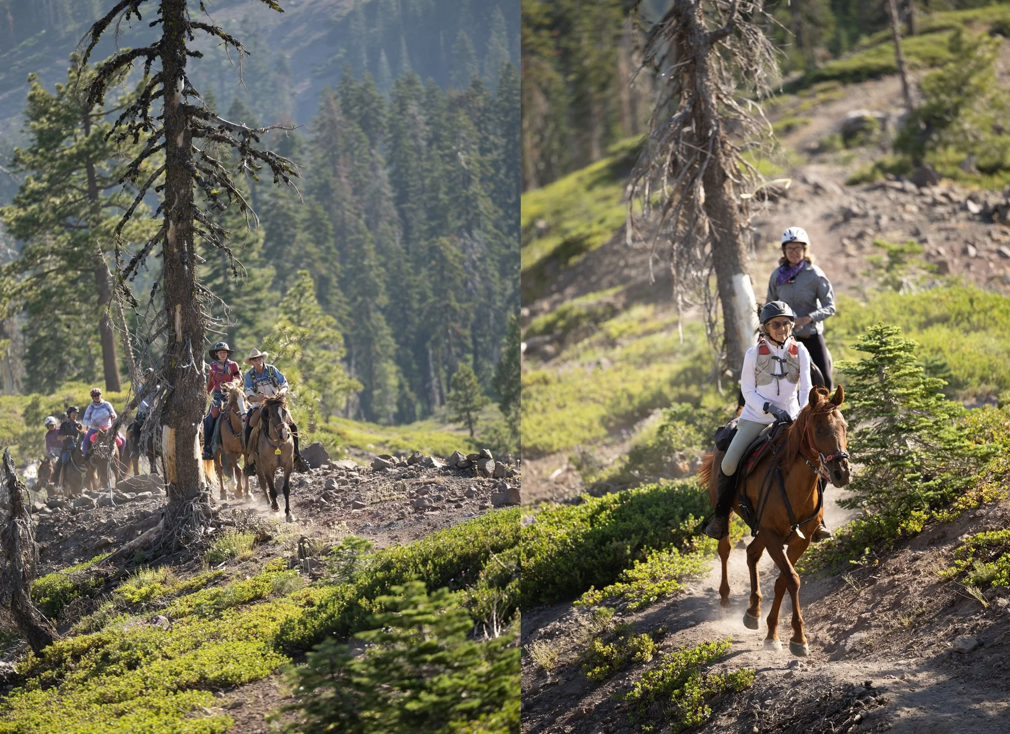 Tevis Cup, Tevis Cup 2025, Tevis Cup Endurance Ride, Tevis Cup Photographer, Endurance Ride, Endurance Riding, Endurance Racing, Western States Trail Foundation