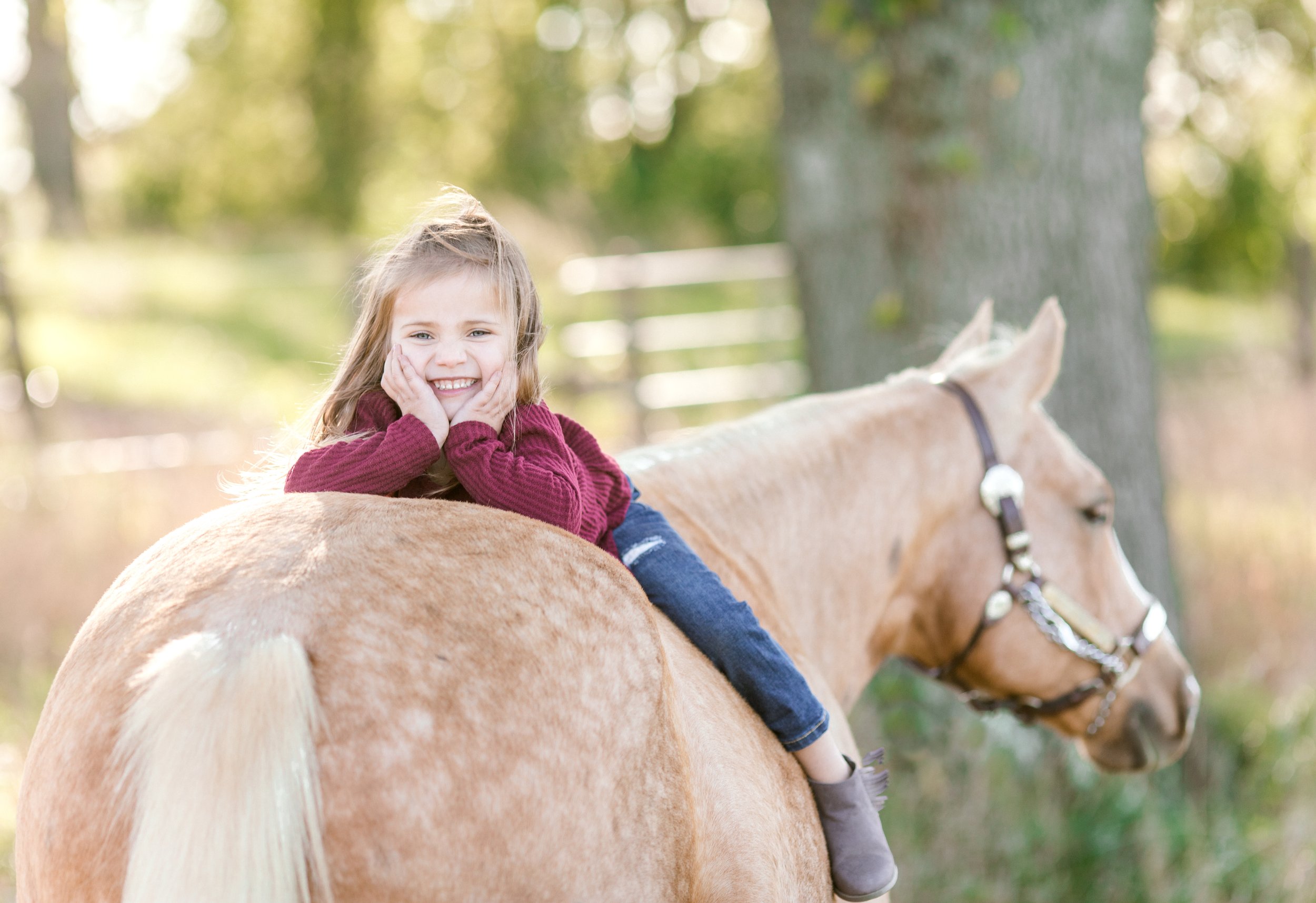 Wisconsin Horse Photographer
