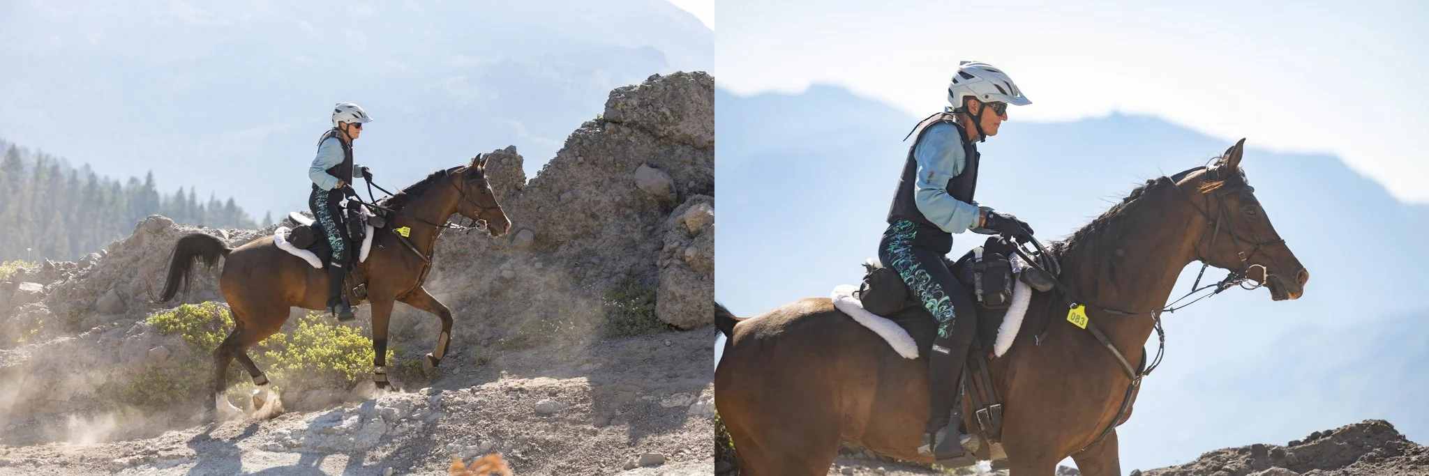 Tevis Cup, Tevis Cup 2025, Tevis Cup Endurance Ride, Tevis Cup Photographer, Endurance Ride, Endurance Riding, Endurance Racing, Western States Trail Foundation