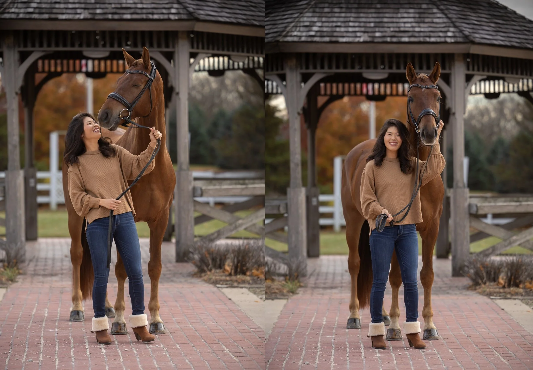 Sidelines Magazine, FEI, Dressage, USDF, Gelding, Mare, Britt Burson, Stacy Tierman Photography, Illinois Horse Photography, Illinois Horse Photographer, Midwest Horse Photographer, Chicago Horse Photographer, Chicago Horse Photography, Wisconsin