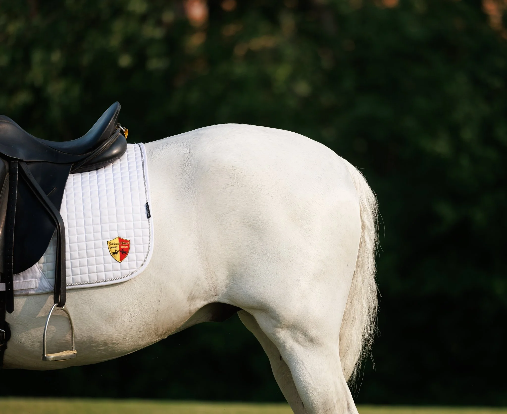 Medieval Times, Medieval Times Chicago, Chicago, Chicago Horse, Midwest Horse Photographer, Dressage Photographer, Wisconsin Horse, Equine Photographer