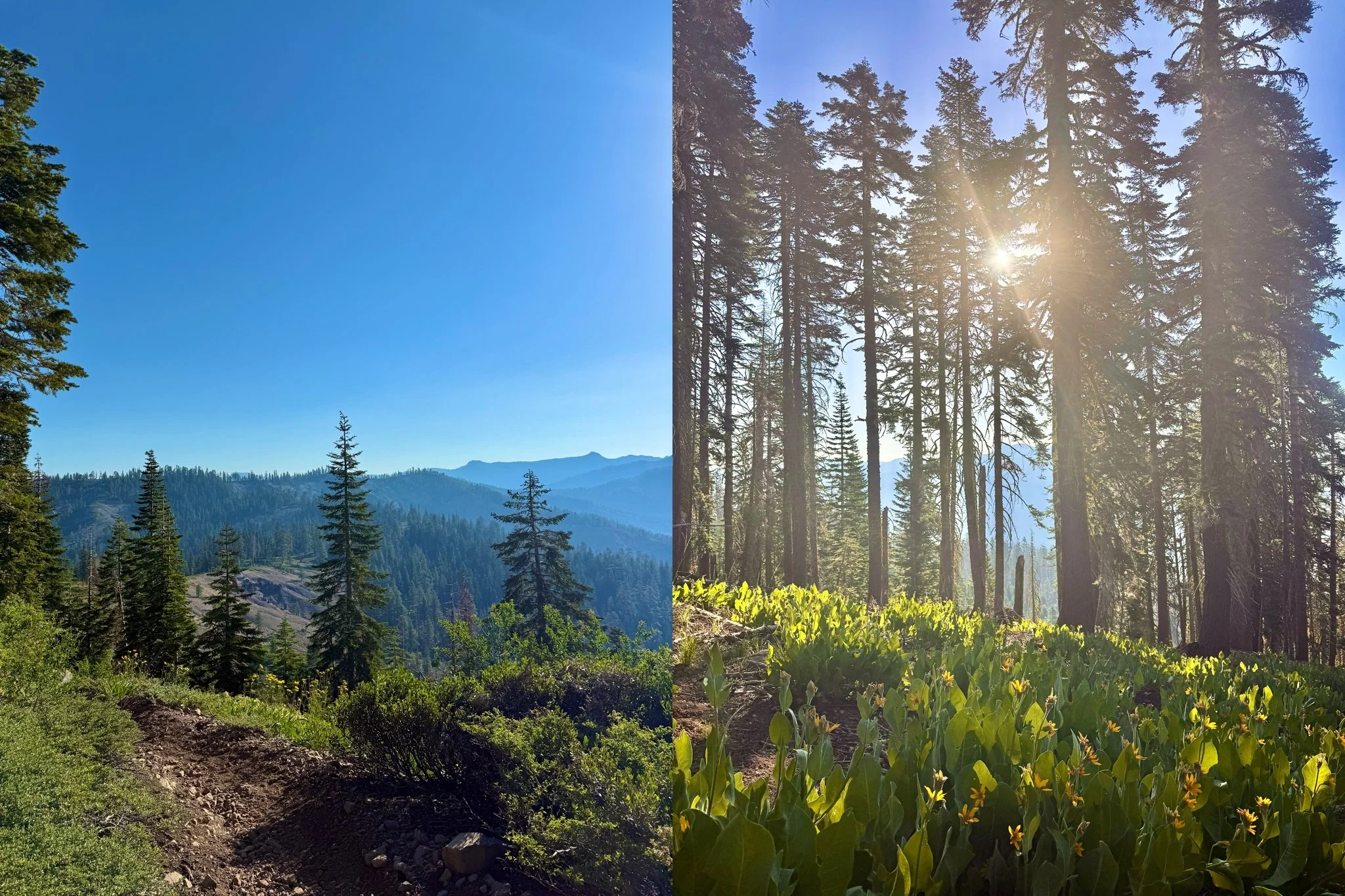 Tevis Cup, Tevis Cup 2025, Tevis Cup Endurance Ride, Tevis Cup Photographer, Endurance Ride, Endurance Riding, Endurance Racing, Western States Trail Foundation