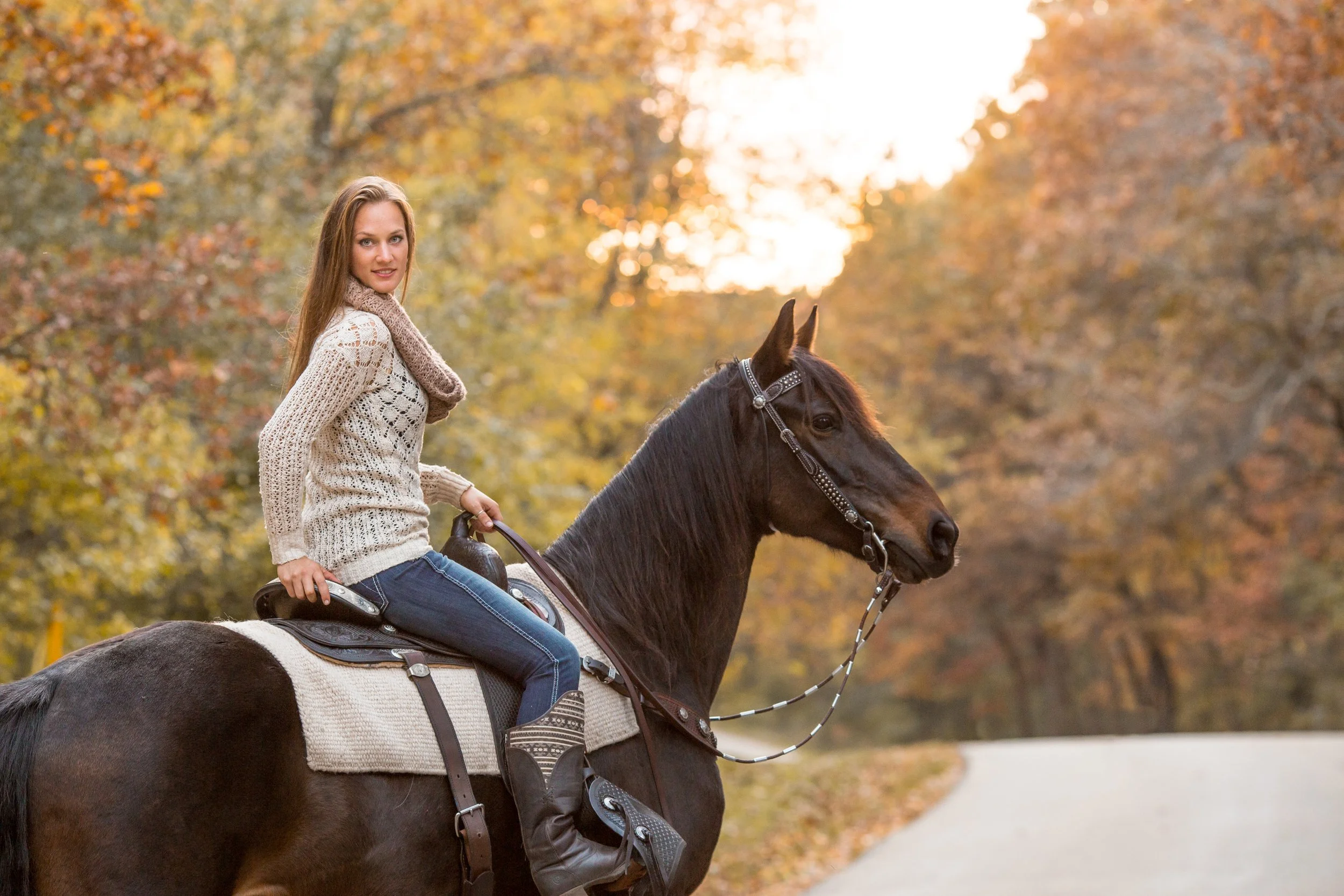 Wisconsin Horse Photographer