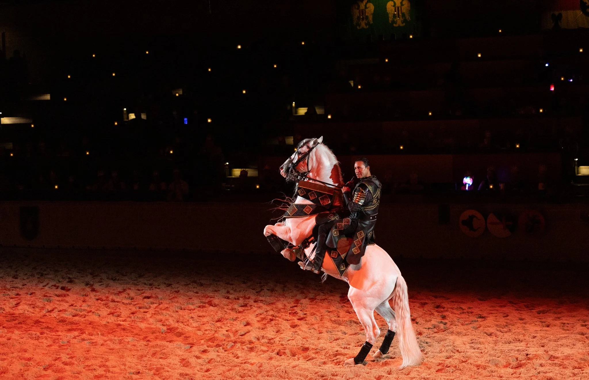 Medieval Times, Medieval Times Chicago, Chicago, Chicago Horse, Midwest Horse Photographer, Dressage Photographer, Wisconsin Horse, Equine Photographer