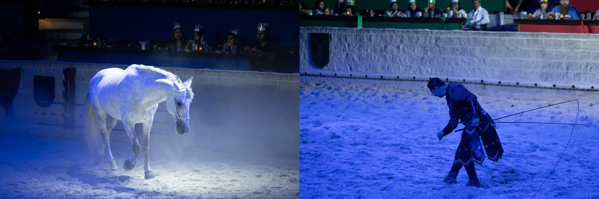 Medieval Times, Medieval Times Chicago, Chicago, Chicago Horse, Midwest Horse Photographer, Dressage Photographer, Wisconsin Horse, Equine Photographer