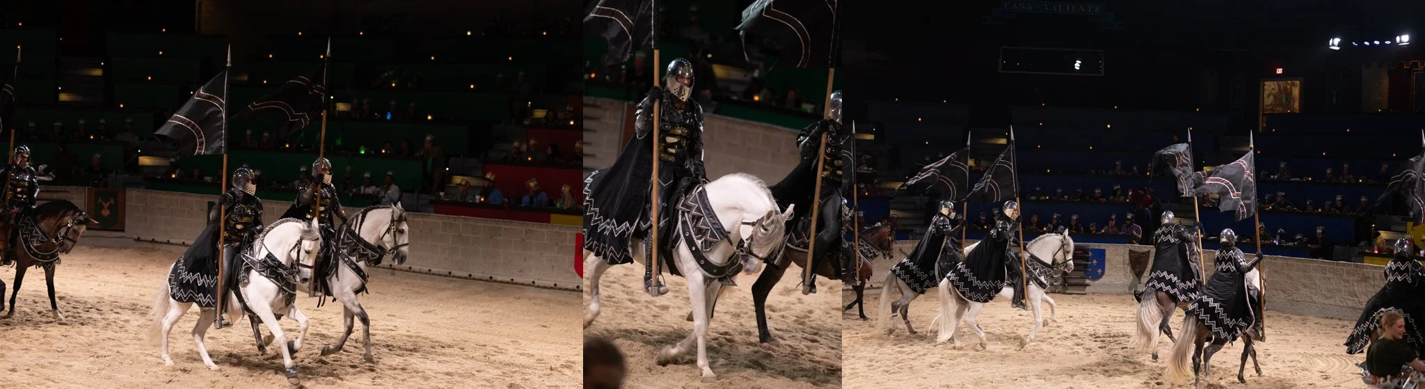 Medieval Times, Medieval Times Chicago, Chicago, Chicago Horse, Midwest Horse Photographer, Dressage Photographer, Wisconsin Horse, Equine Photographer