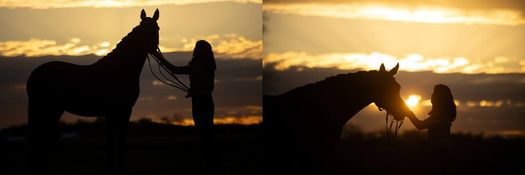 Sidelines Magazine, FEI, Dressage, USDF, Gelding, Mare, Britt Burson, Stacy Tierman Photography, Illinois Horse Photography, Illinois Horse Photographer, Midwest Horse Photographer, Chicago Horse Photographer, Chicago Horse Photography, Wisconsin