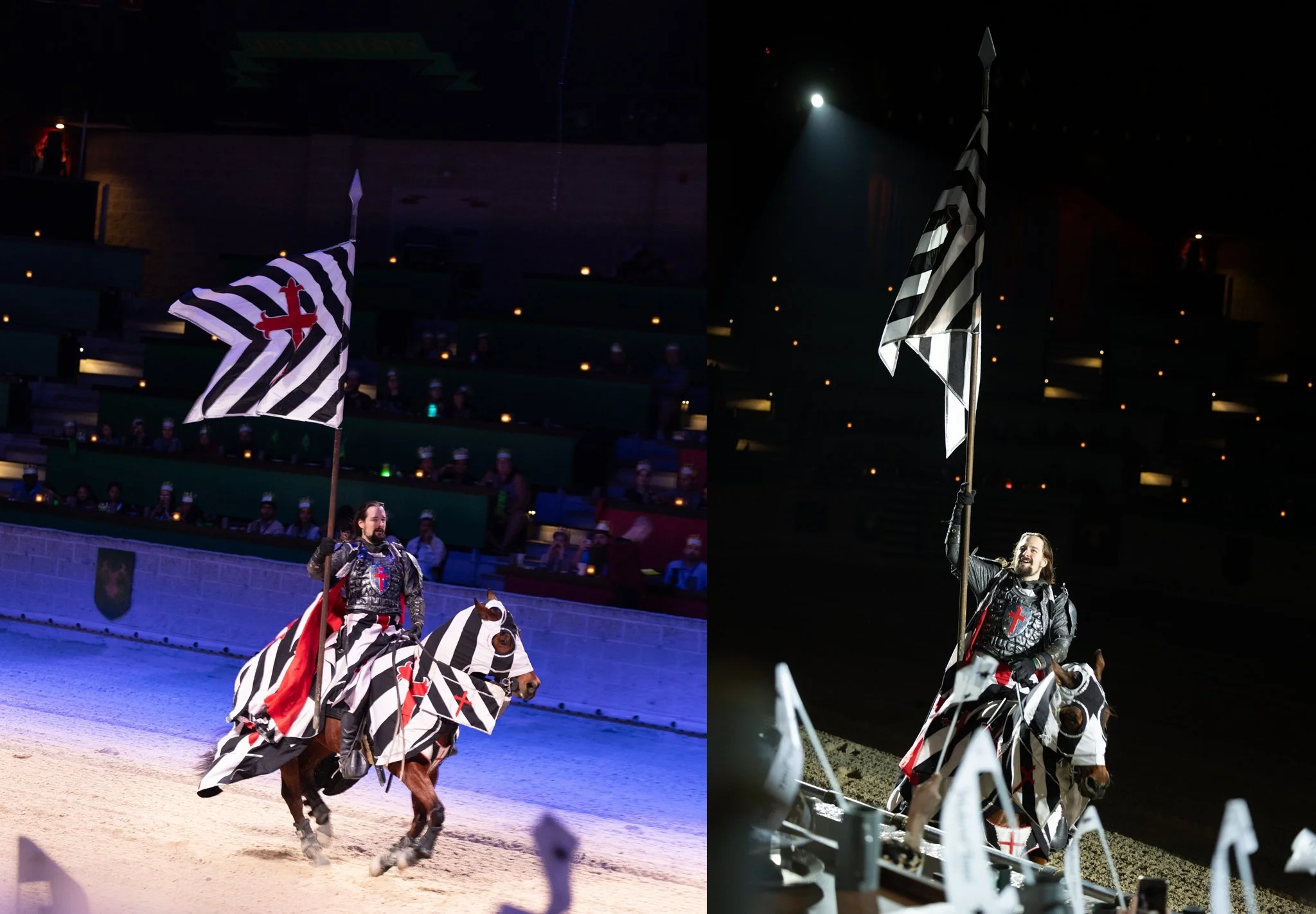 Medieval Times, Medieval Times Chicago, Chicago, Chicago Horse, Midwest Horse Photographer, Dressage Photographer, Wisconsin Horse, Equine Photographer