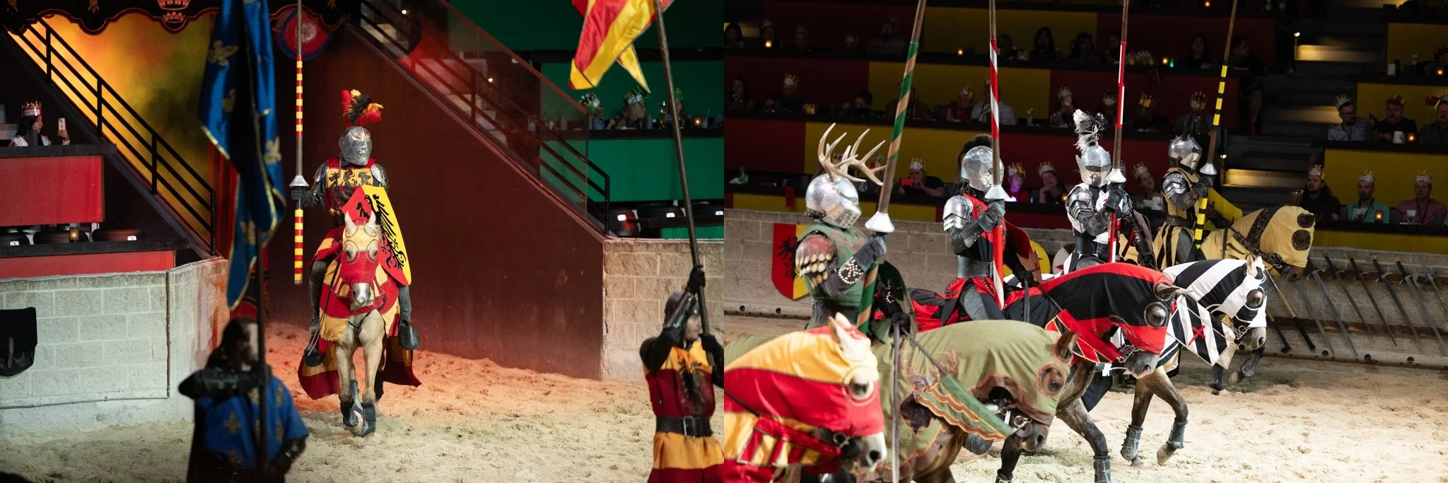 Medieval Times, Medieval Times Chicago, Chicago, Chicago Horse, Midwest Horse Photographer, Dressage Photographer, Wisconsin Horse, Equine Photographer