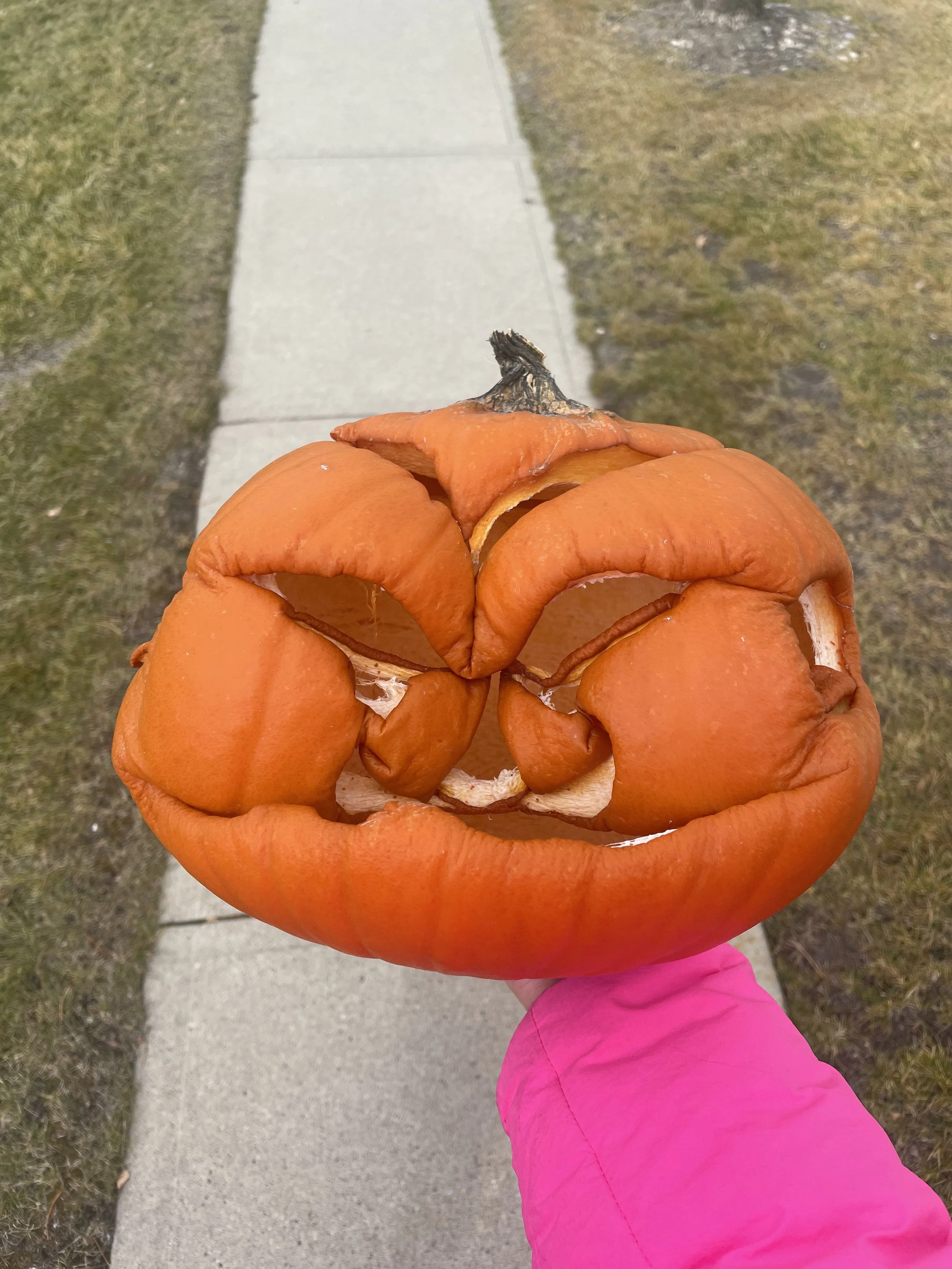 A pumpkin many days after carving. It's of George but is all shrivelled and collapsed. A talisman of death