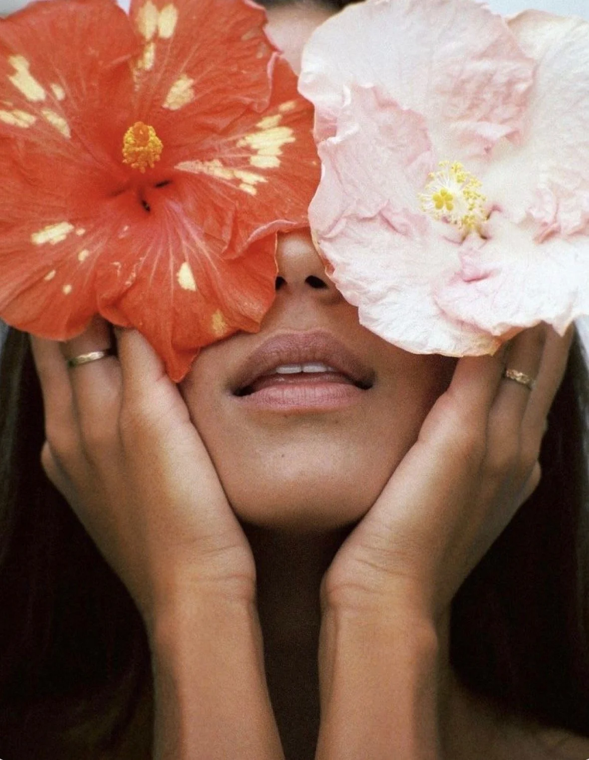 The High Maintenance Shelf