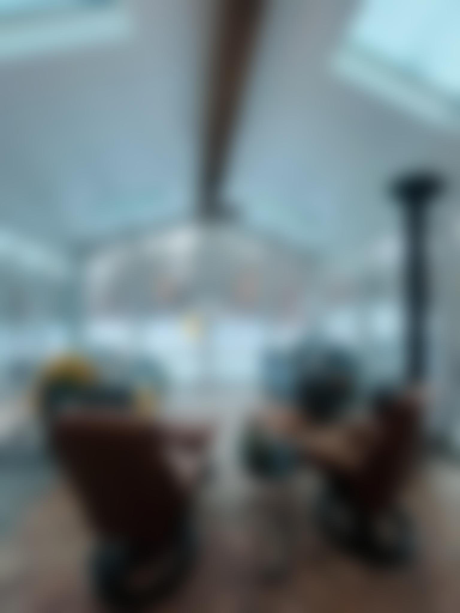 blurred_image_4.jpg