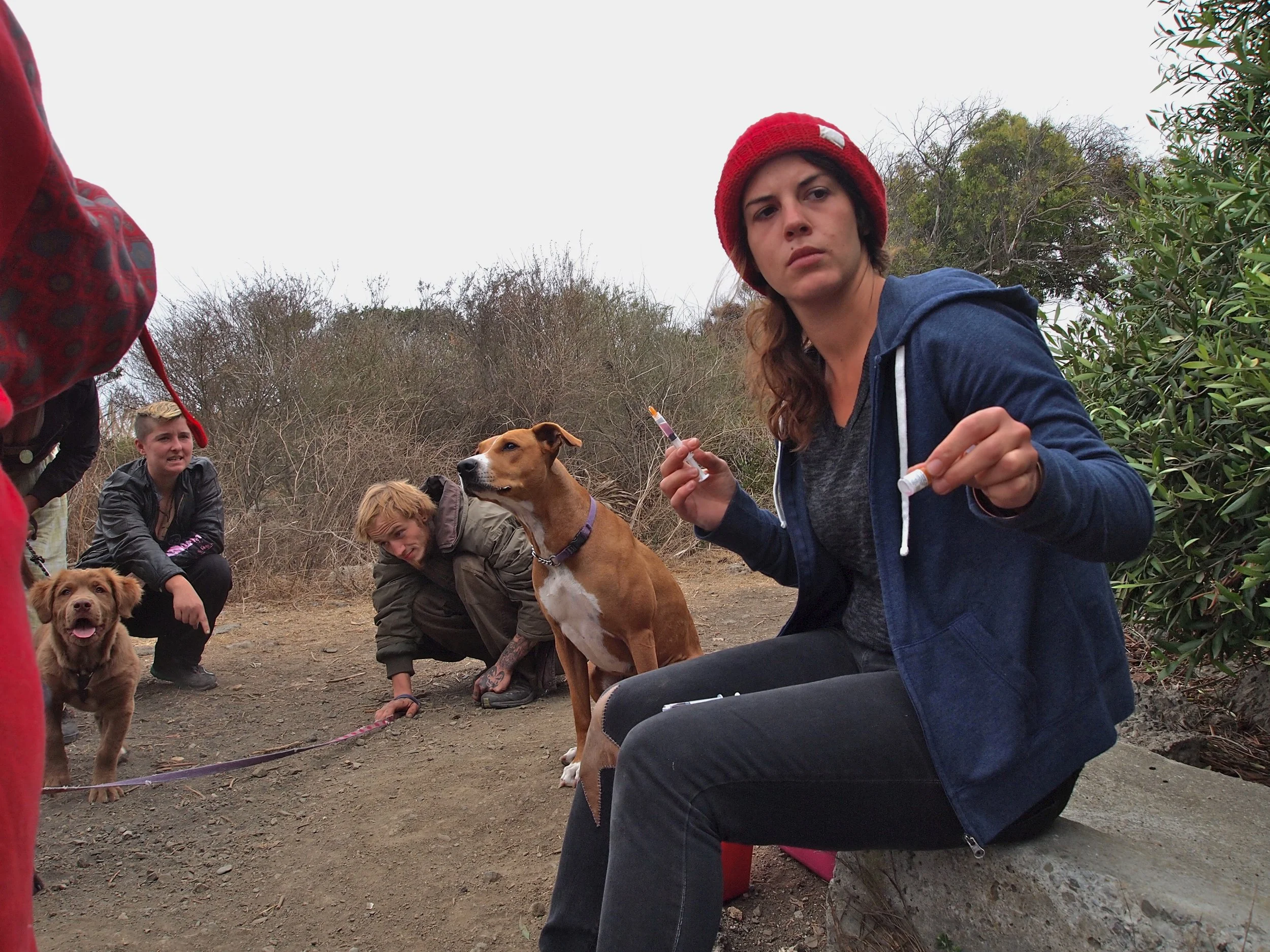 Vaccines at the Bulb