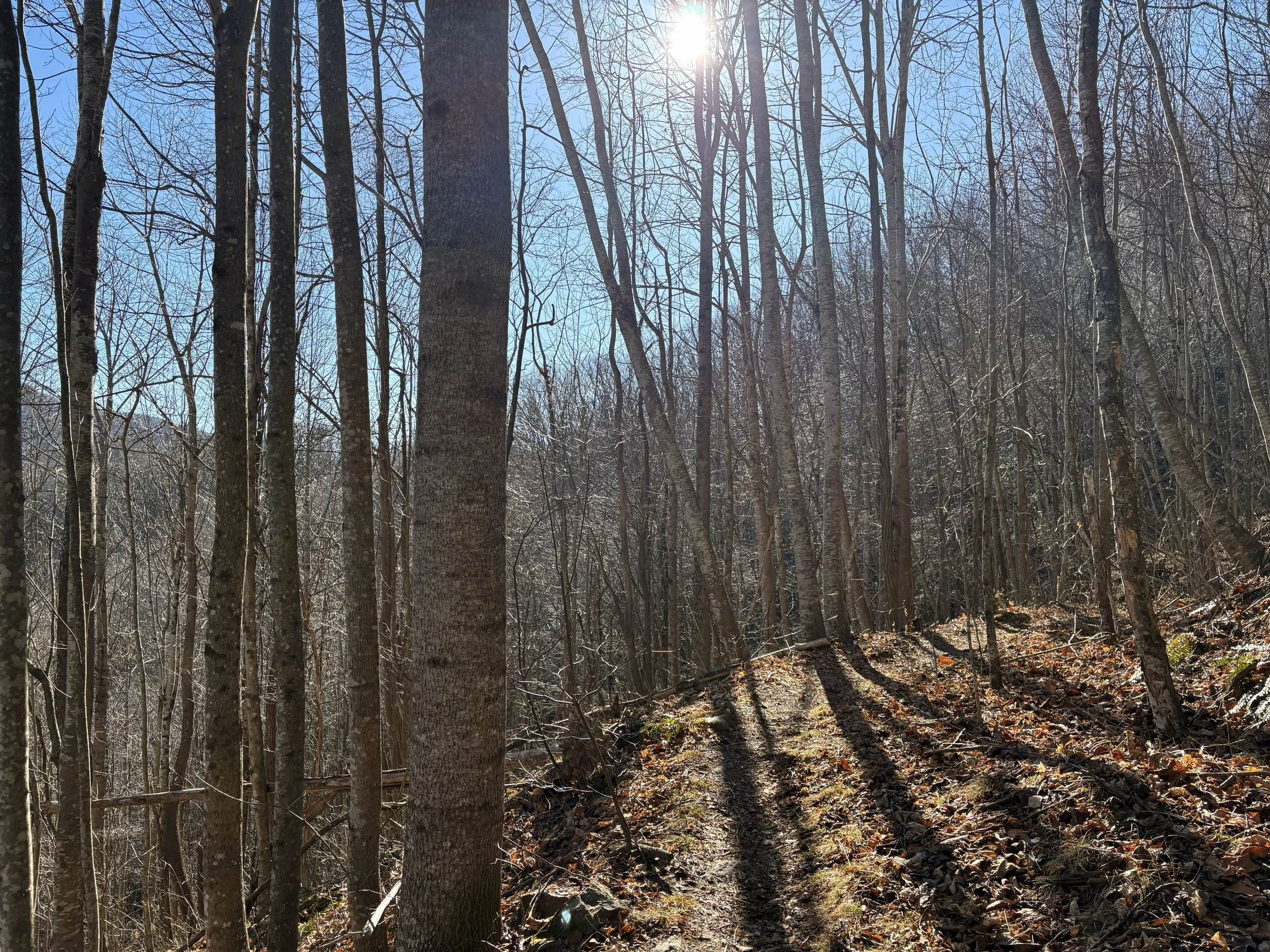 Another year has come and gone…