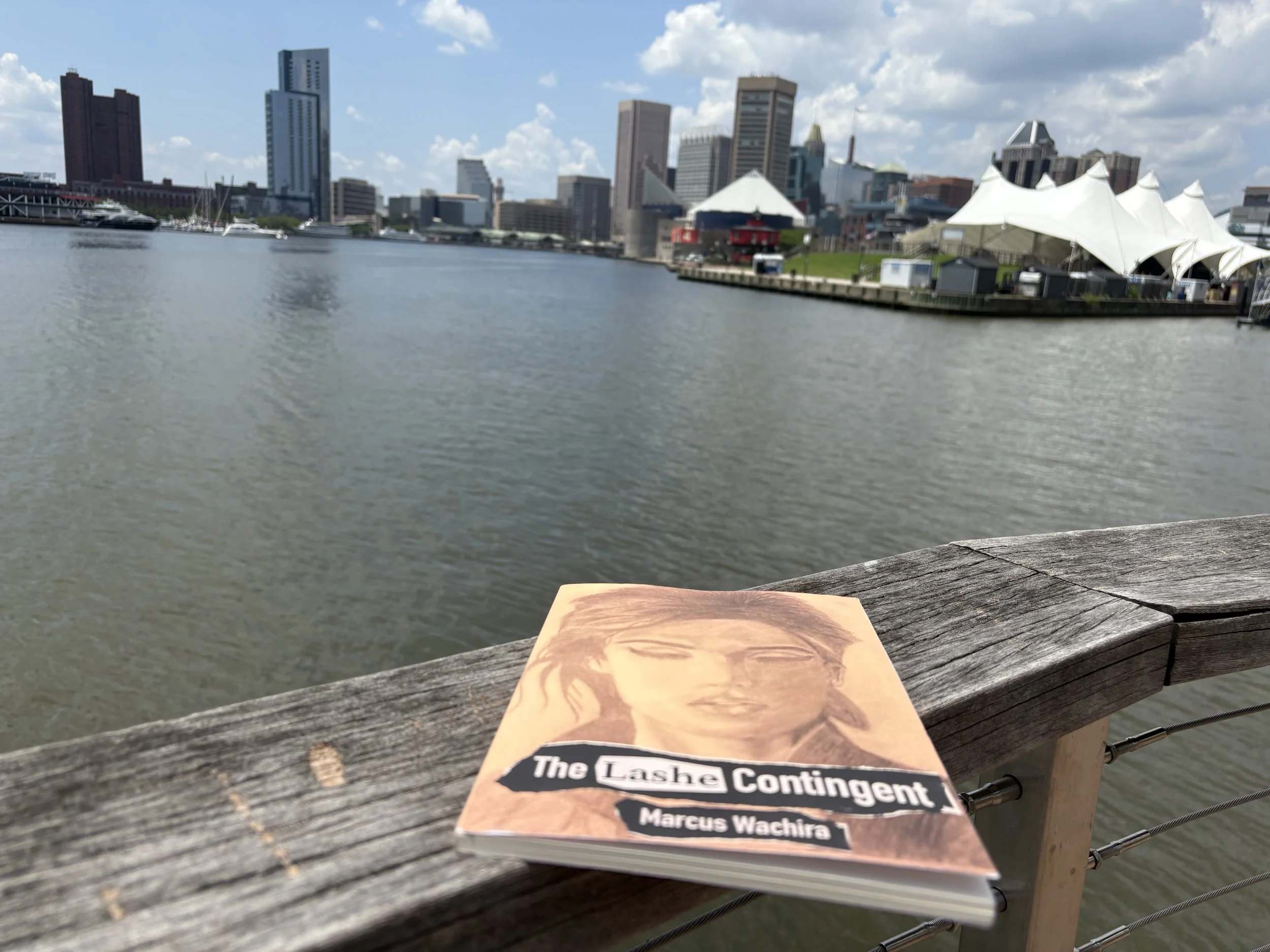 A Reader at Baltimore's Inner Harbor, Baltimore MD, USA (6/19/25)