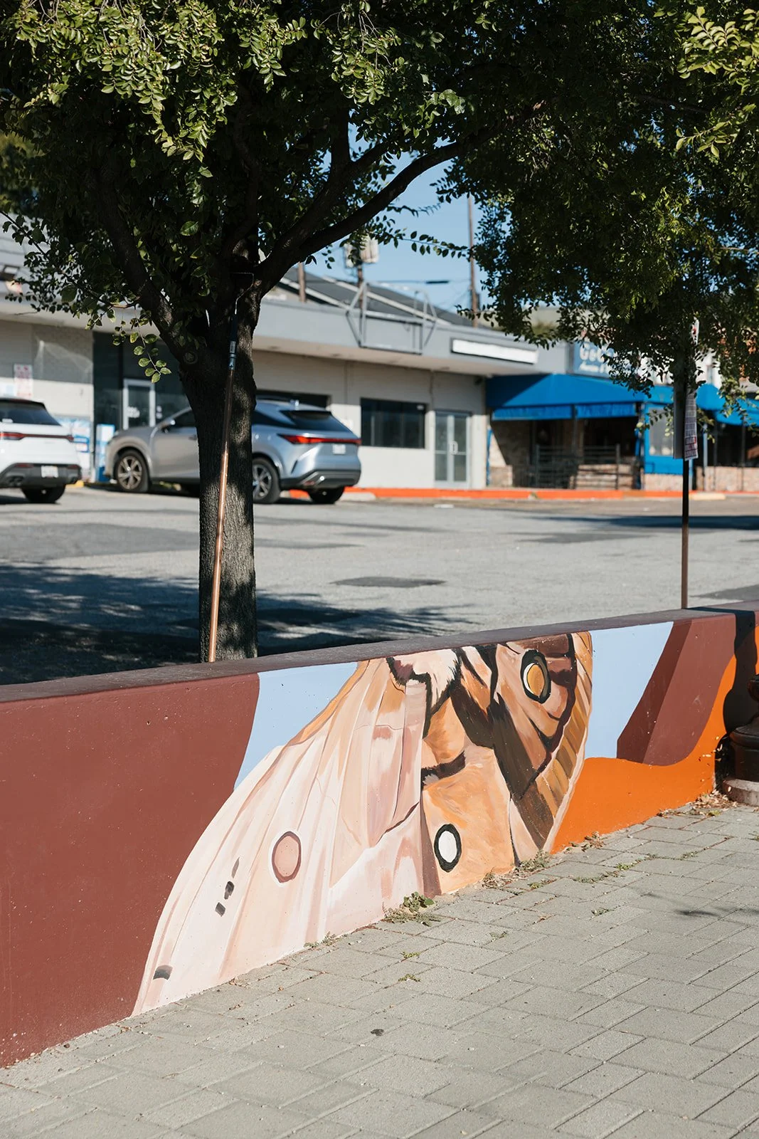 Lowest Greenville Avenue