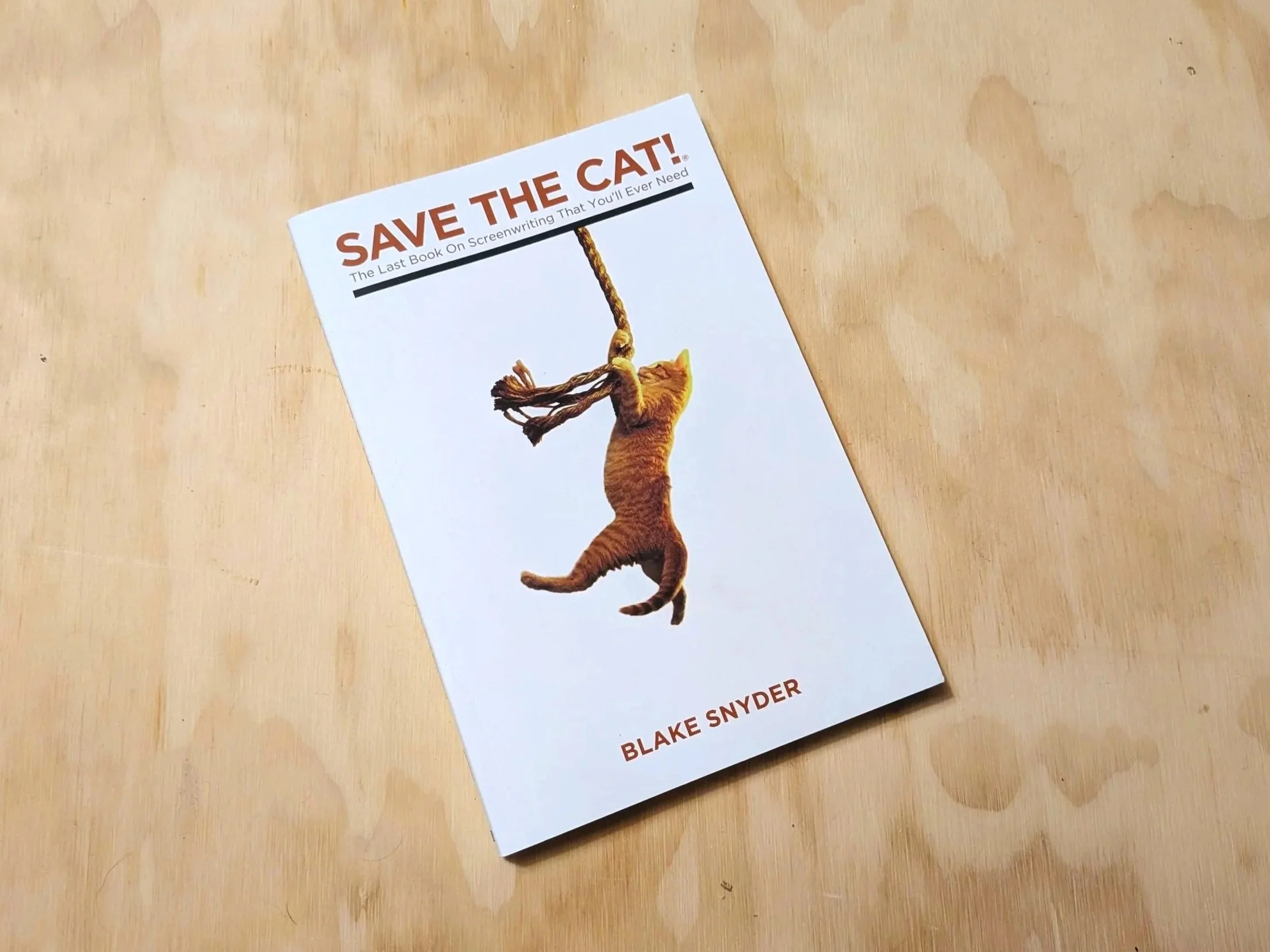 Save the Cat! by Blake Snyder – My Honest Review