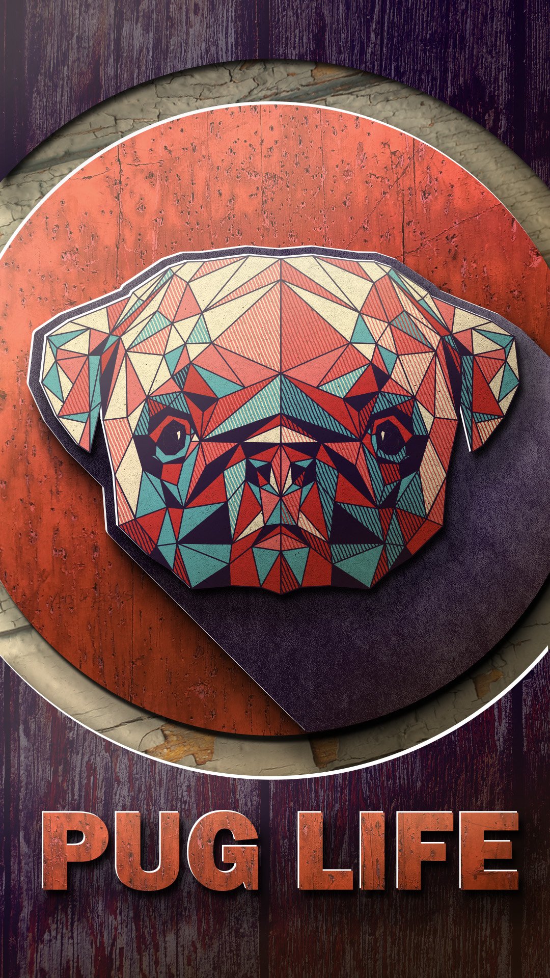 Pug 1.jpg