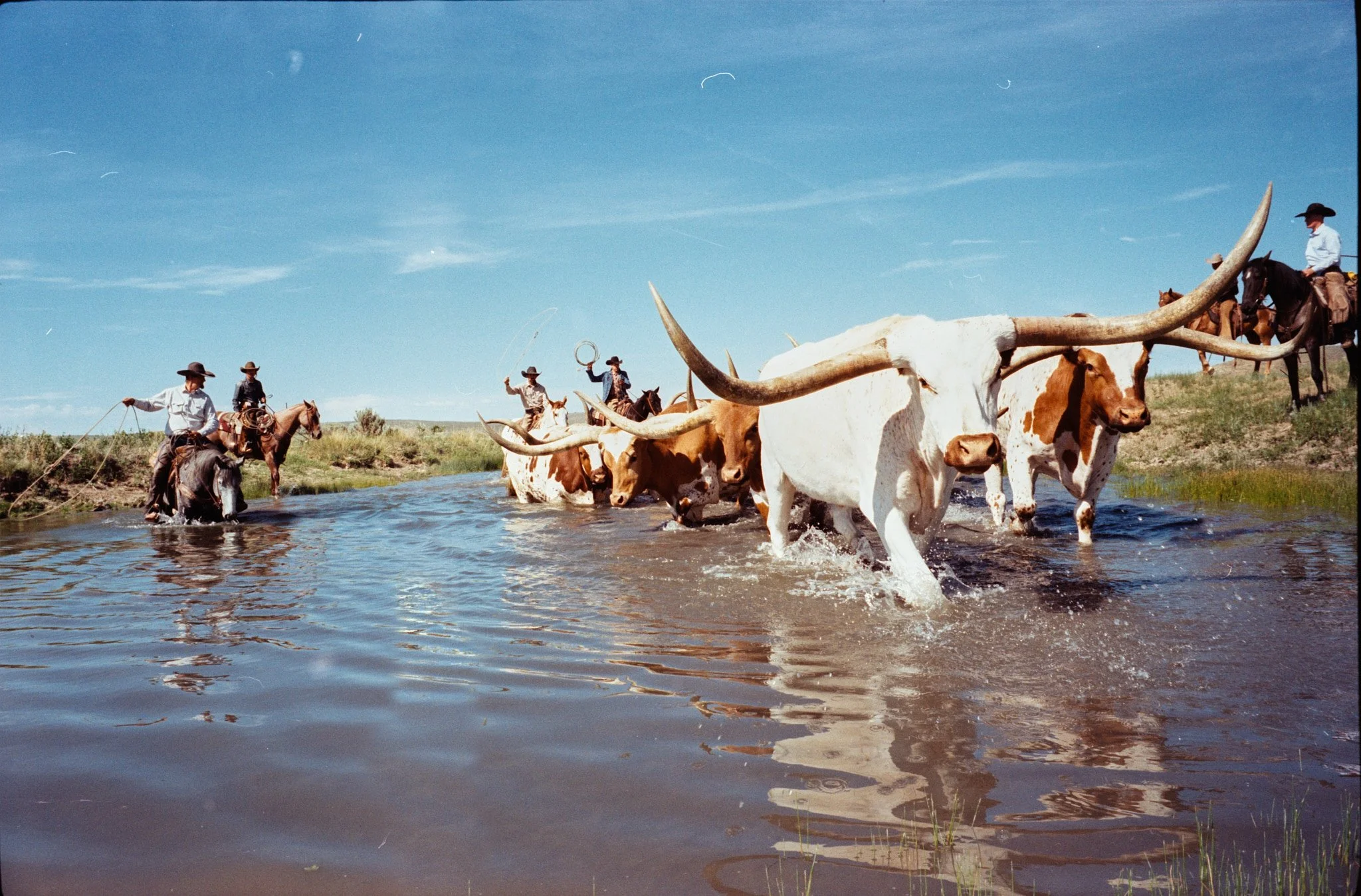 2025 Tony Lama Colorado3155.dng.jpg