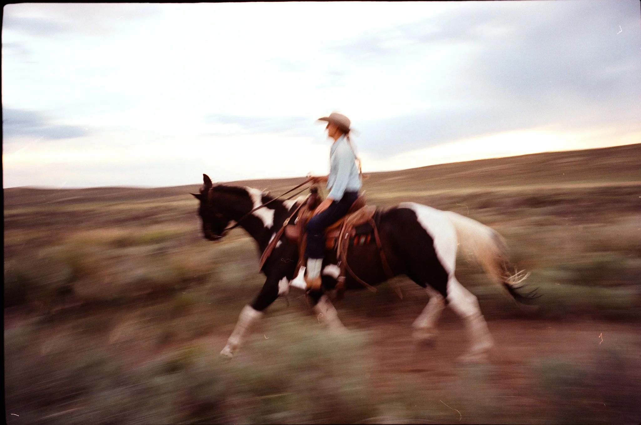 2025 Tony Lama Colorado3197.dng.jpg