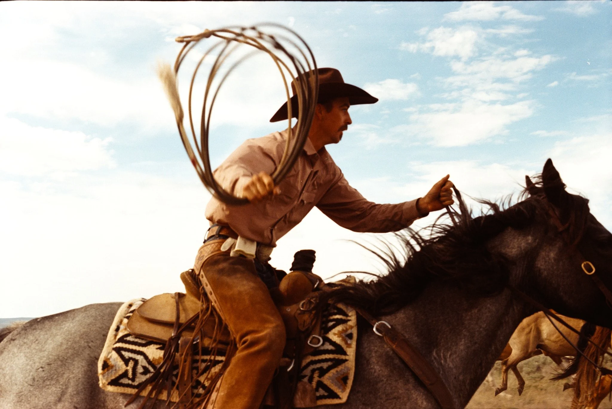 2025 Tony Lama Colorado2526.dng.jpg