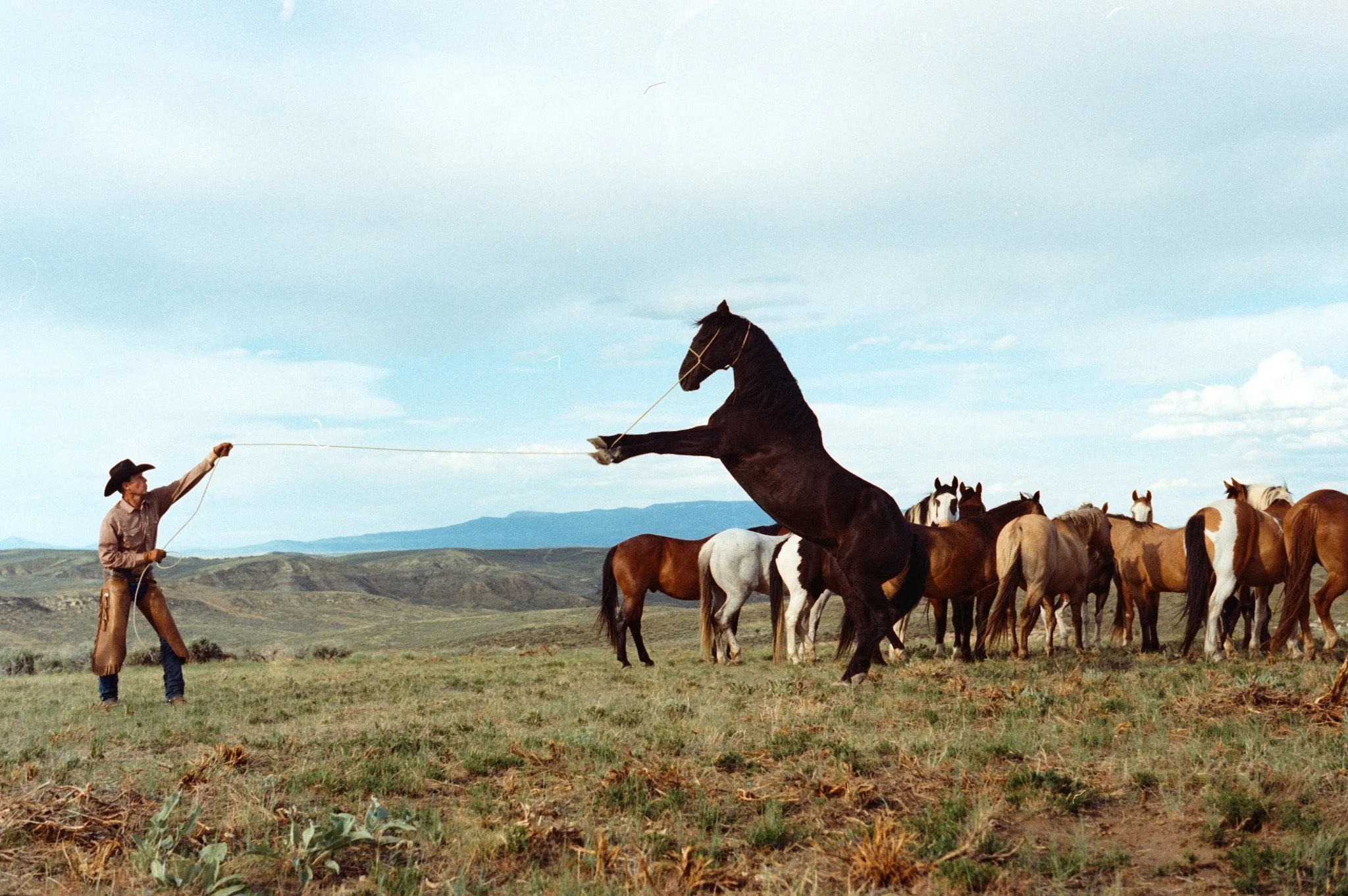 2025 Tony Lama Colorado3026.dng.jpg