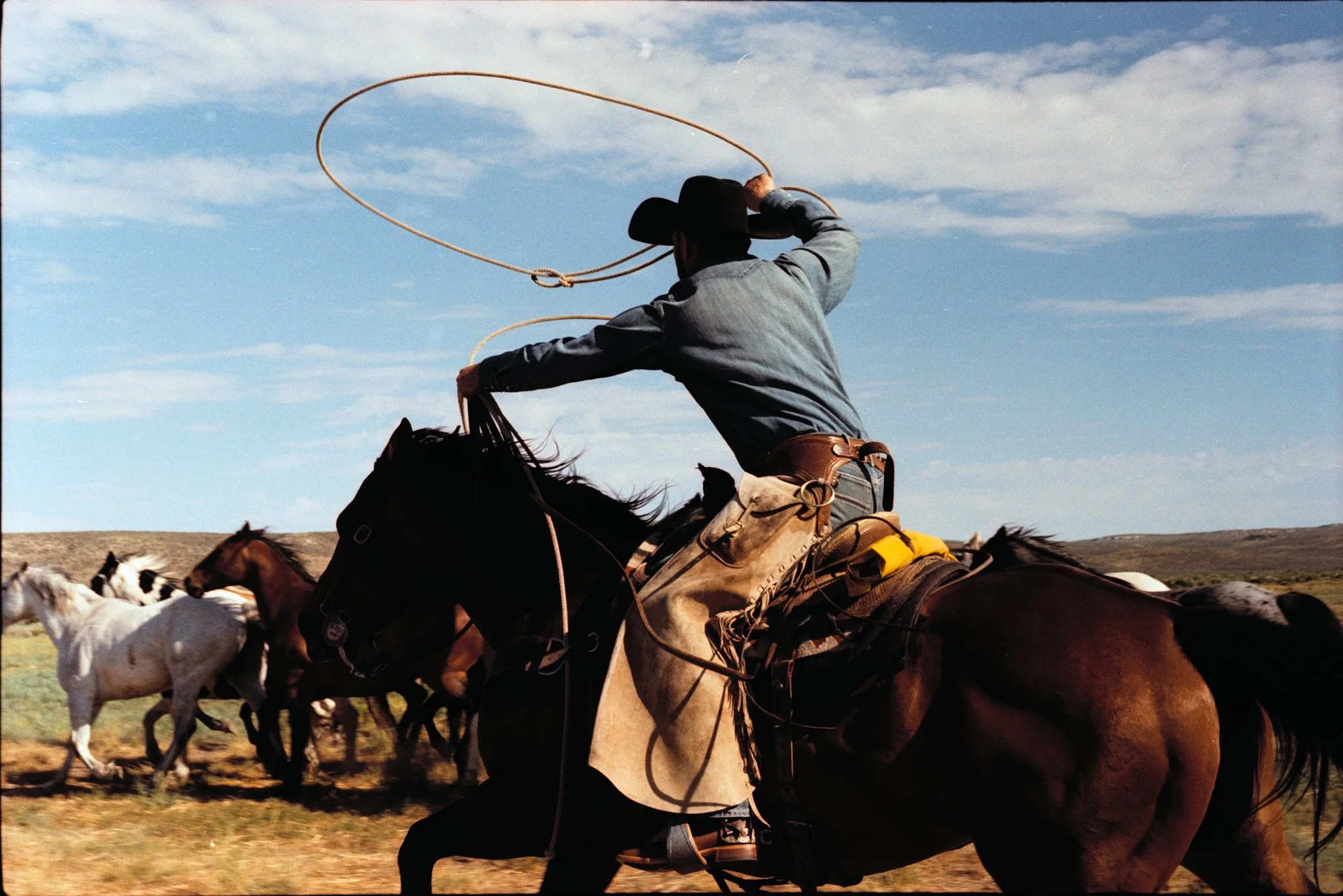 2025 Tony Lama Colorado2626.dng.jpg