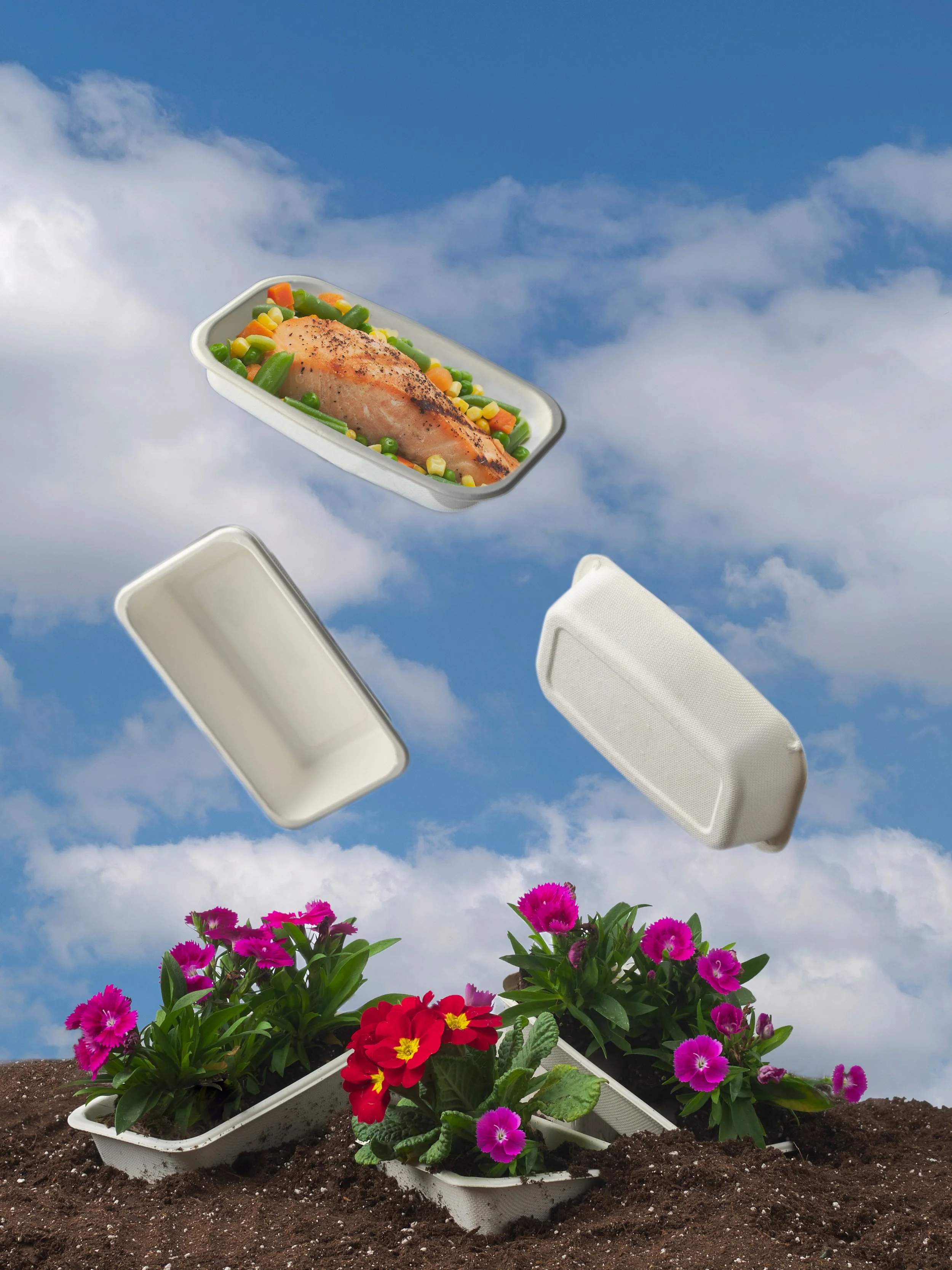 Flying trays.jpg
