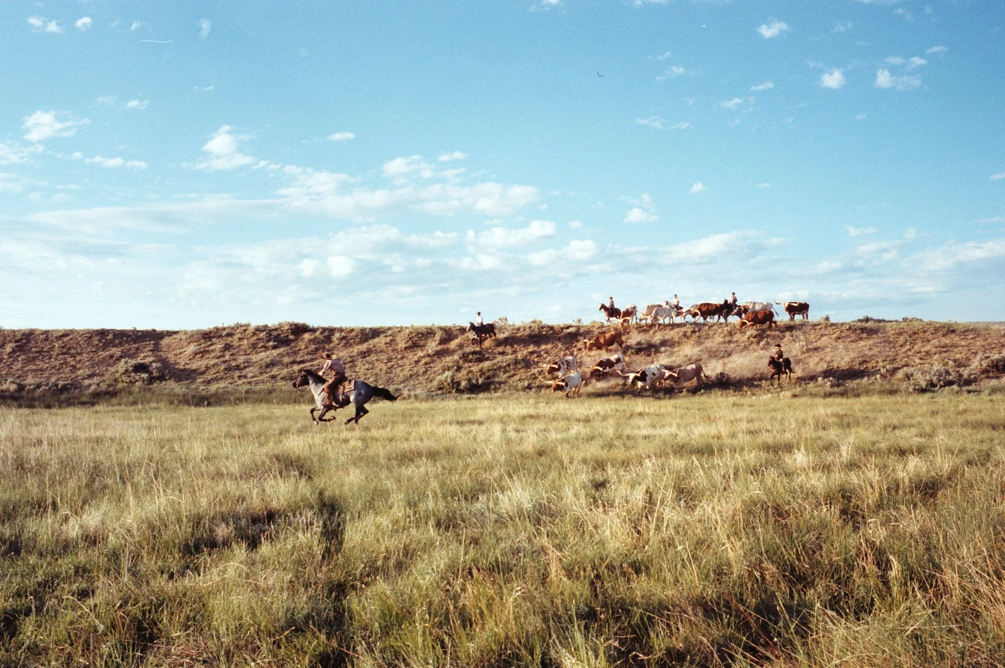 2025 Tony Lama Colorado2927.dng.jpg