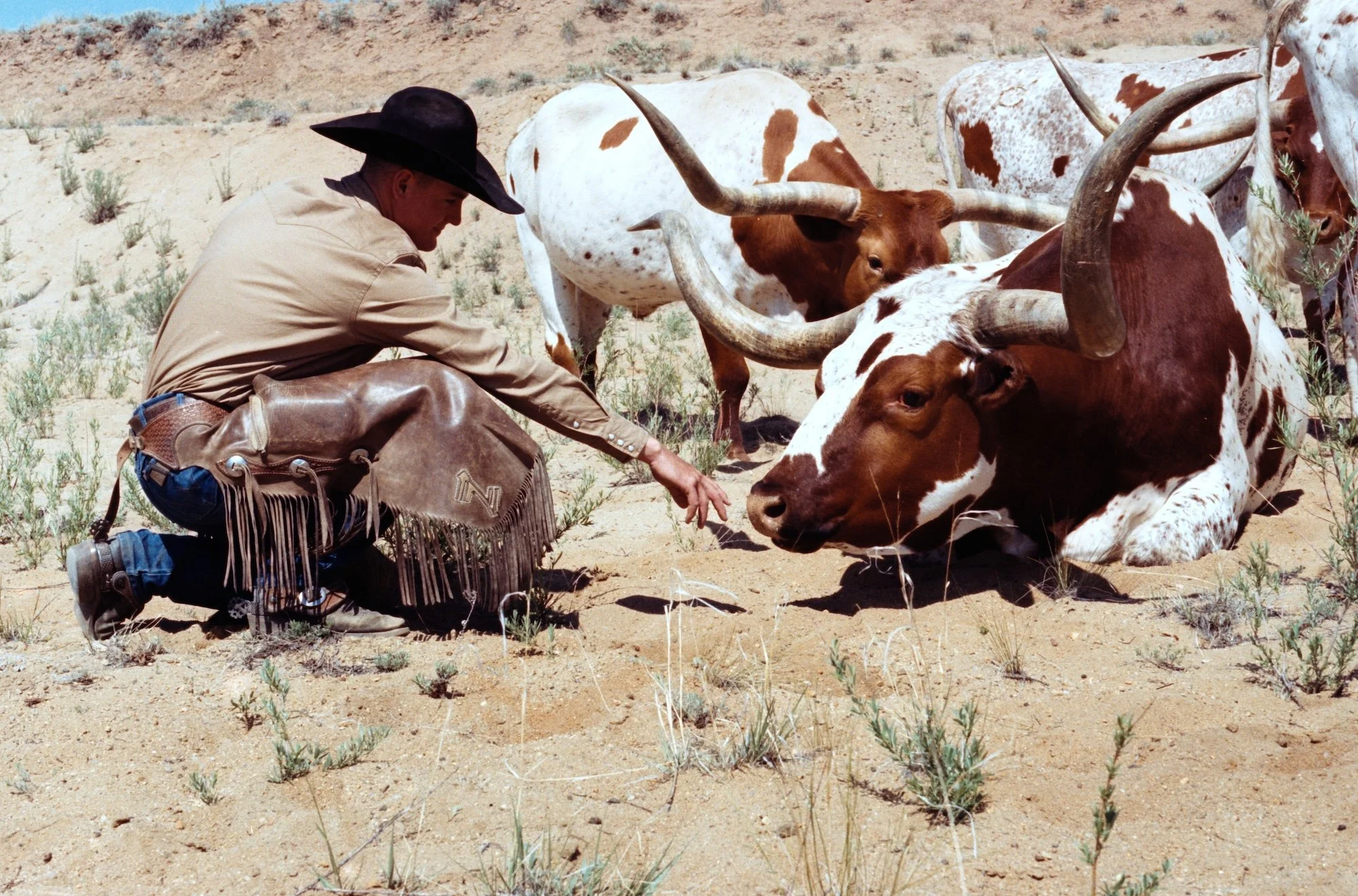 2025 Tony Lama Colorado_047.jpg