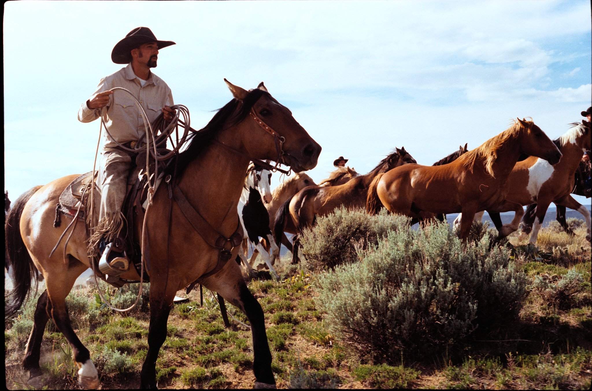 2025 Tony Lama Colorado3108.dng.jpg