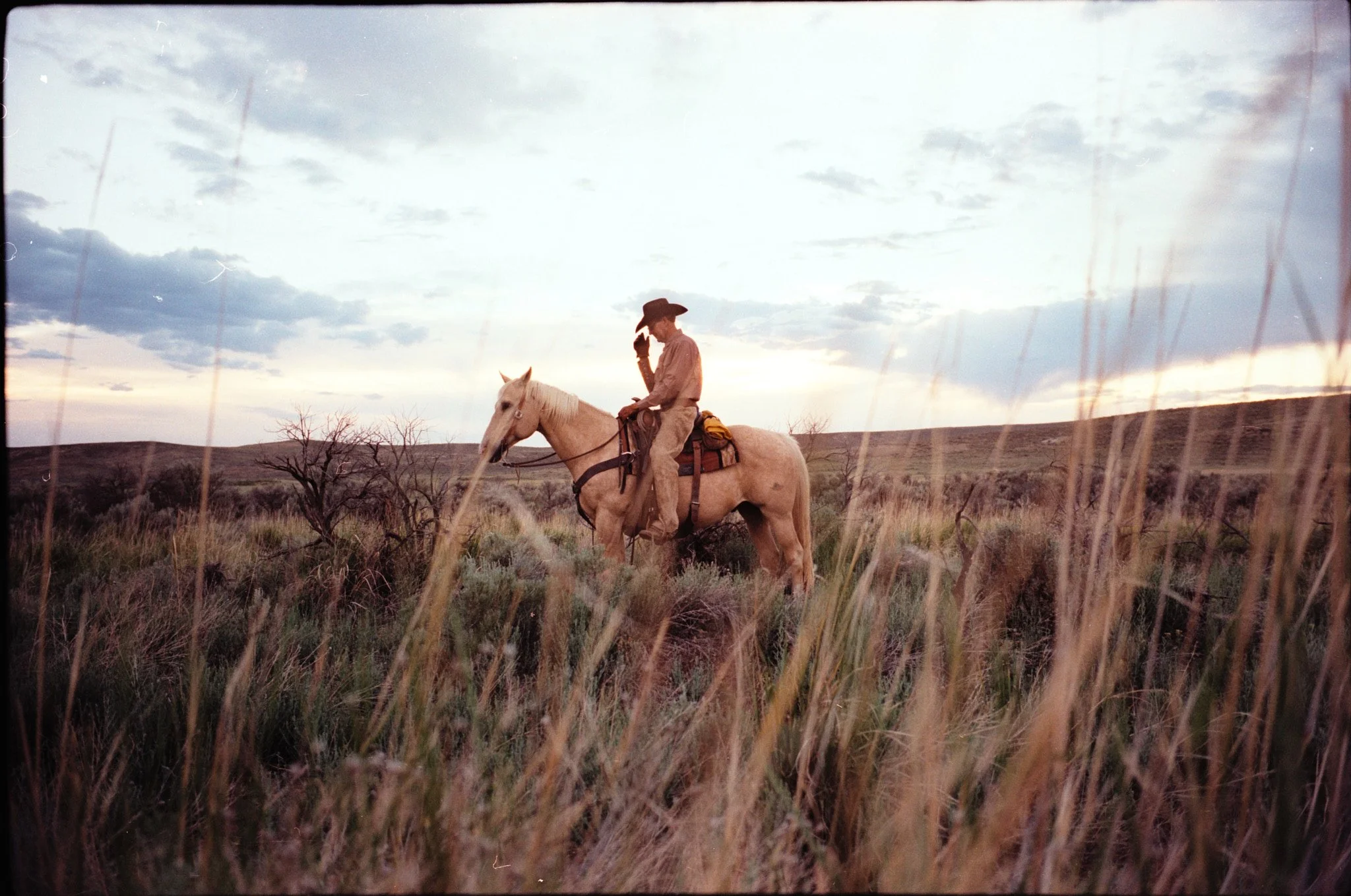 2025 Tony Lama Colorado3201.dng.jpg