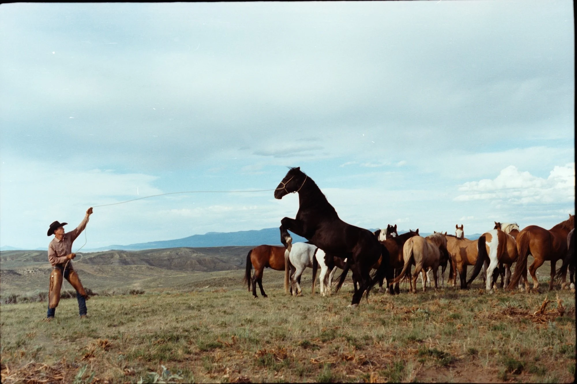 2025 Tony Lama Colorado_041.jpg