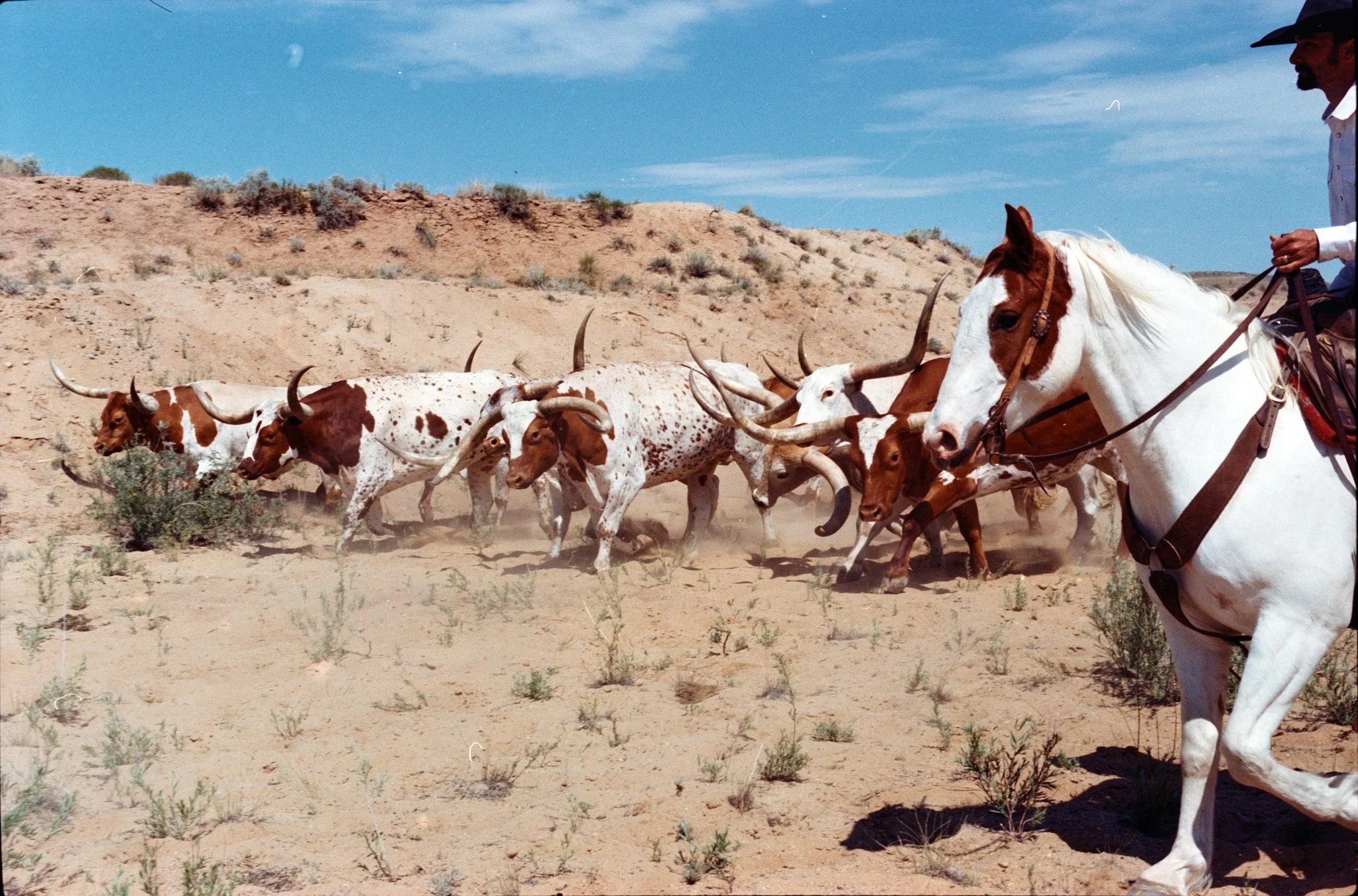 2025 Tony Lama Colorado2966.dng.jpg