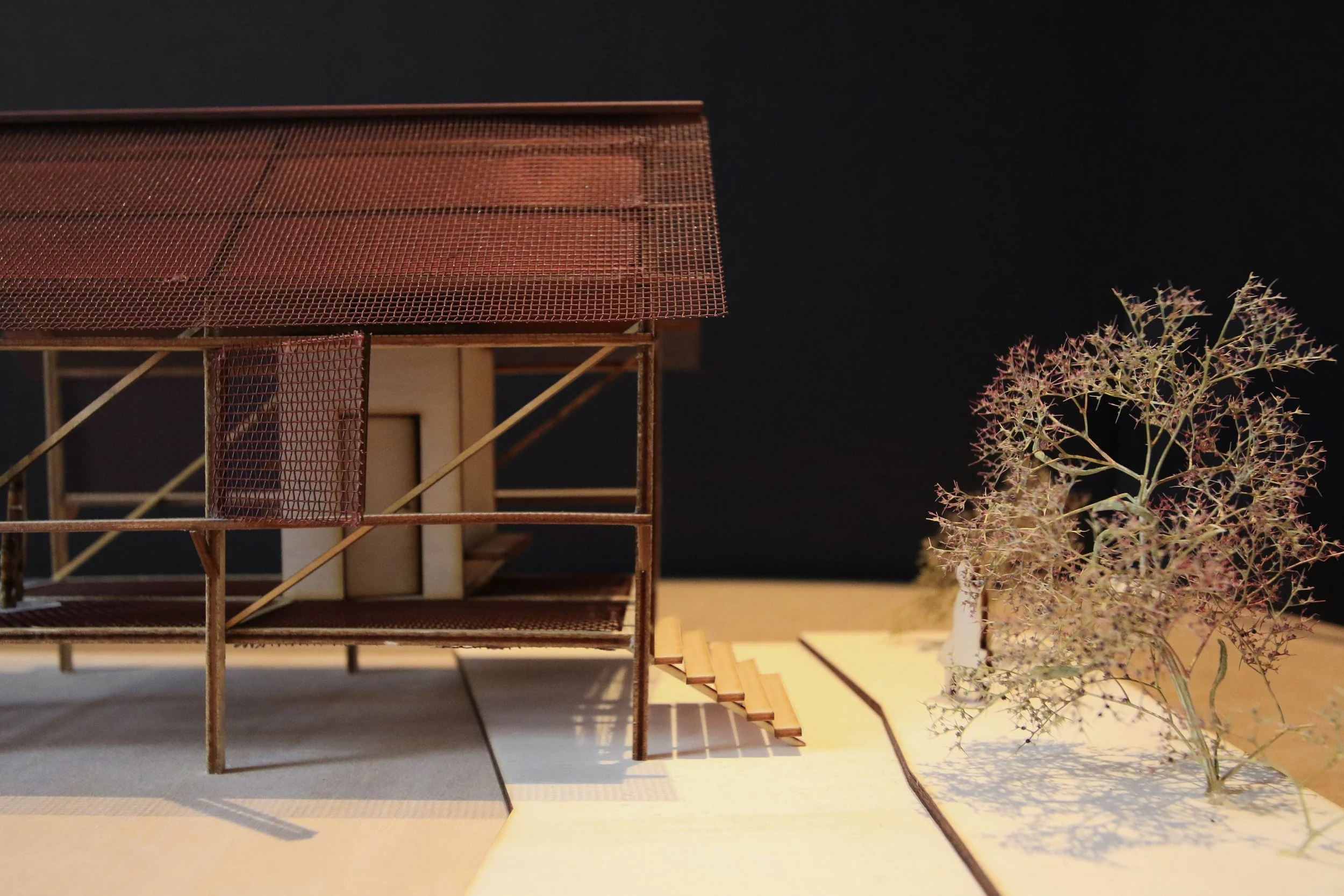 Jervis Bay Model