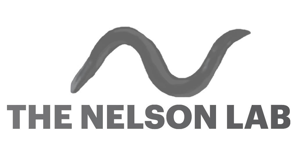 The Nelson Lab