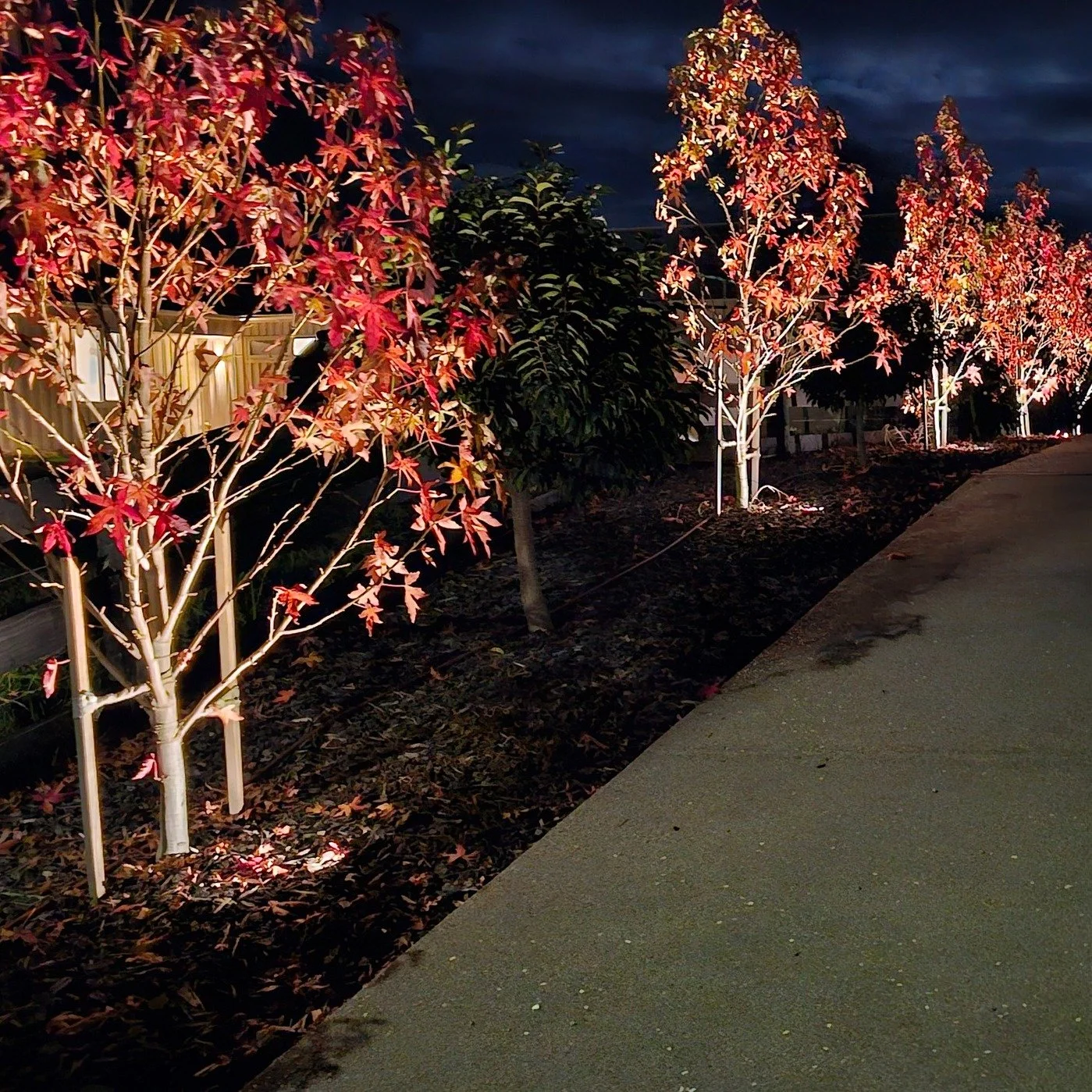 A wee bit of landscape lighting? Don't mind if we do! 😍