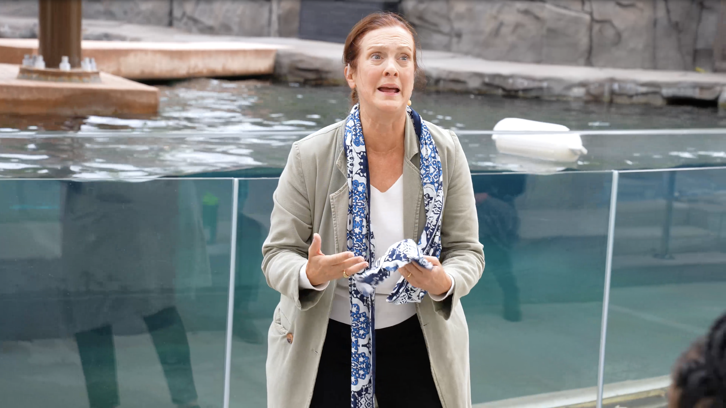 Thumbnail for Video.png