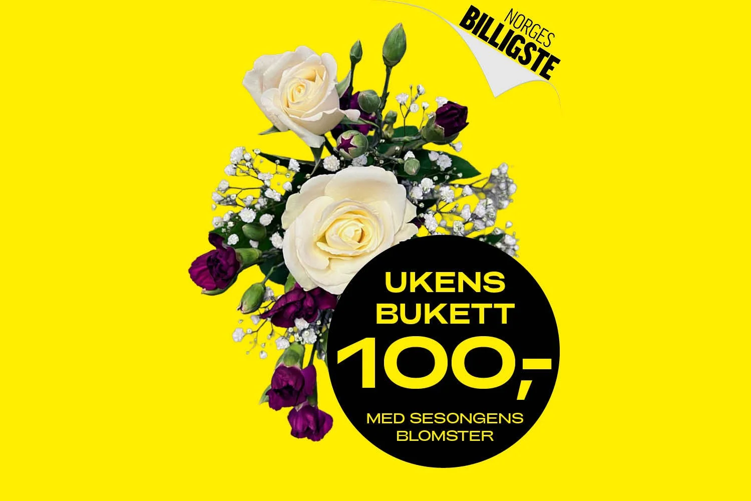Blackweek_bannere_u48-2025_#3.jpg