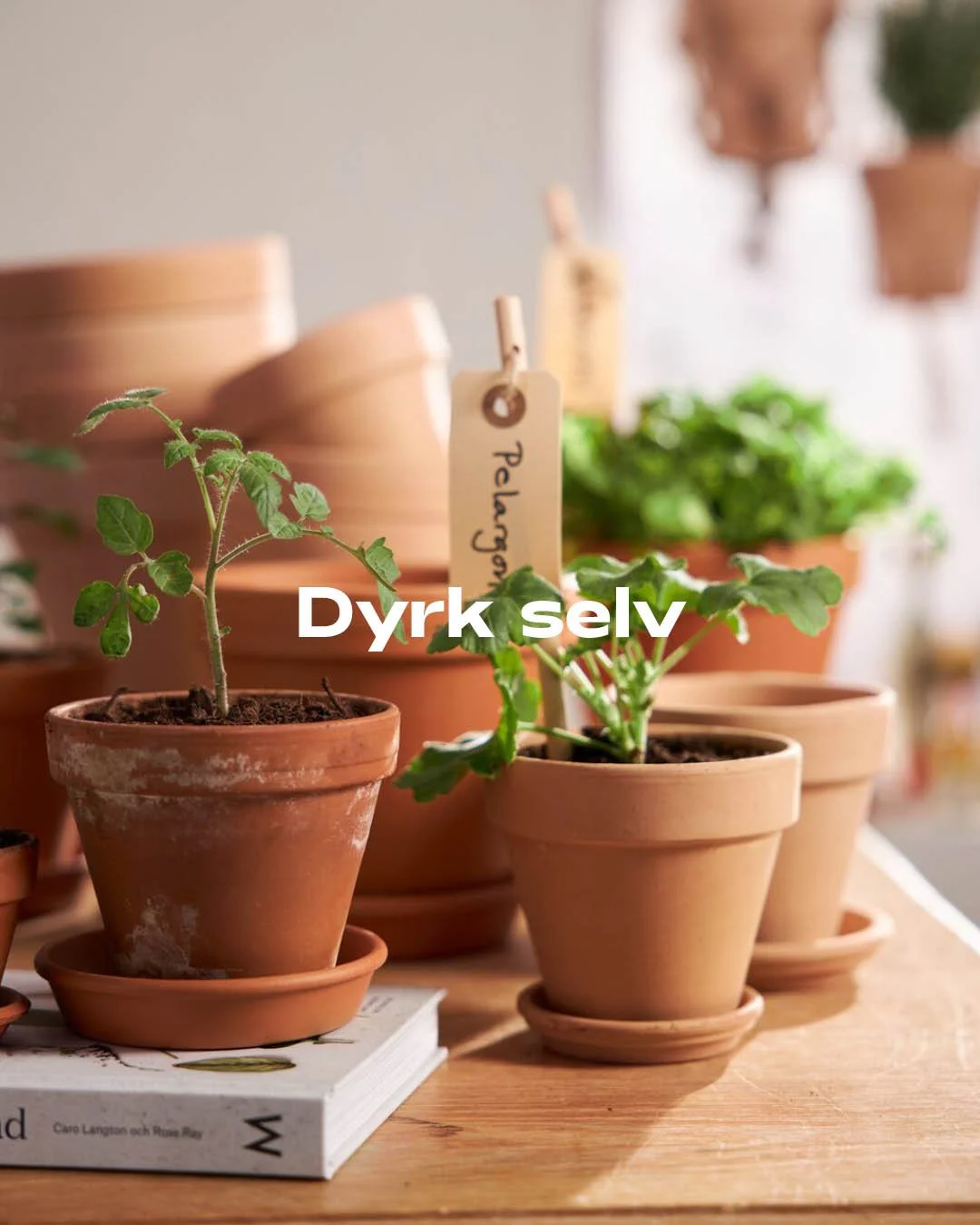4-5_bilder kategorier_dyrk_selv.jpg