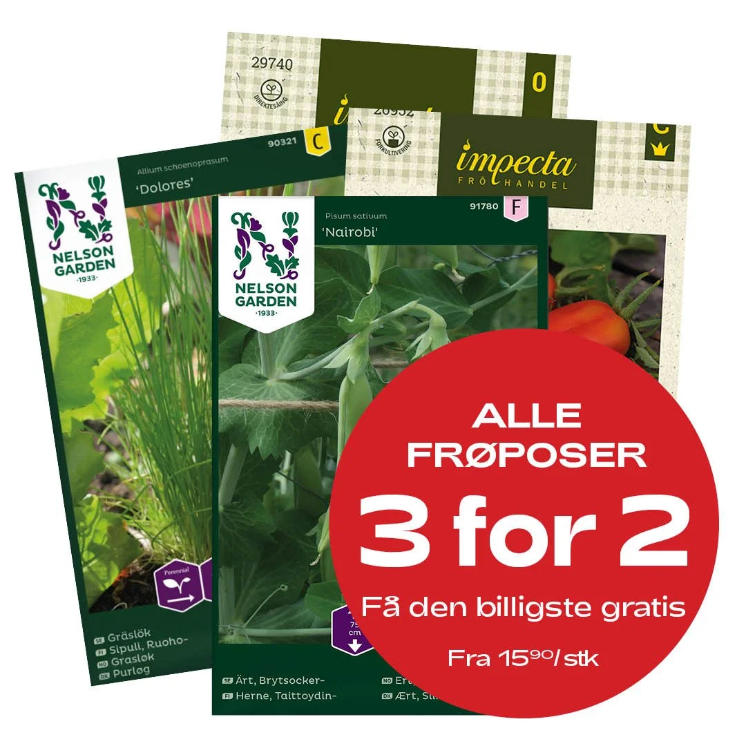 U02-2026_frøposer_3for2.jpg