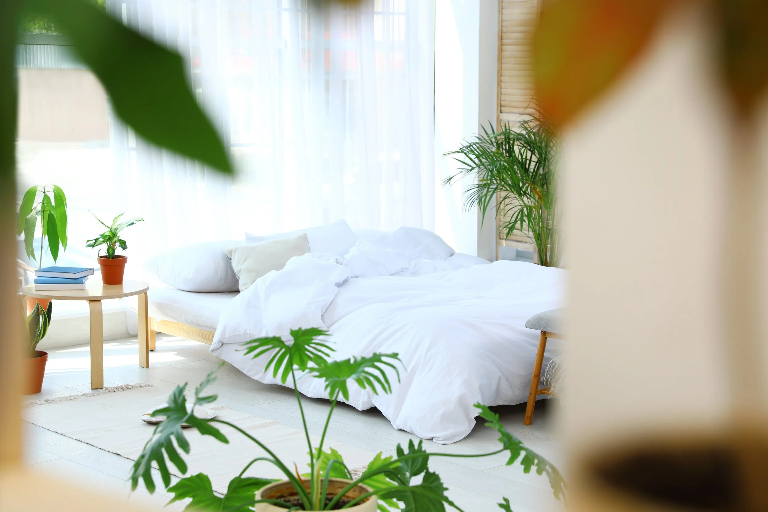 AdobeStock_280140459.jpeg
