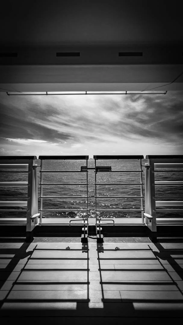 Ocean View by Paul Wells – HC