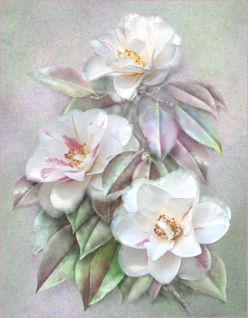Delicate Beauty by Pam Mullings – 3rd place