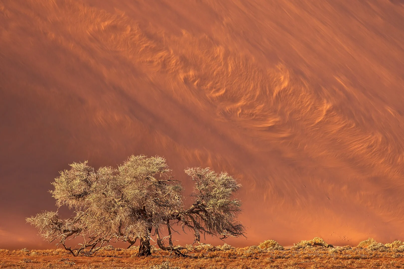 Sandstorm, Namib Desert by Robert Harvey – 2nd place