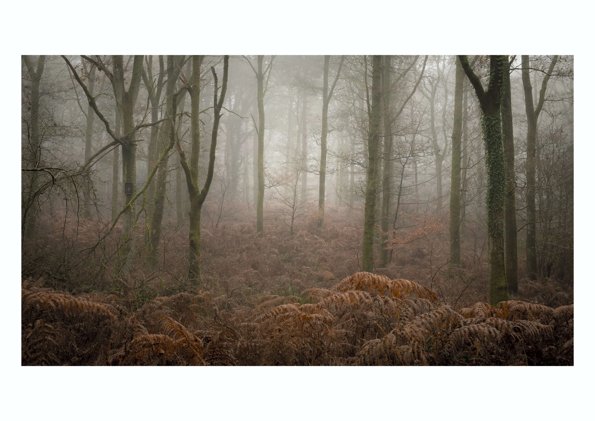 Bird Box No7 by Dave Eagle – 2nd place